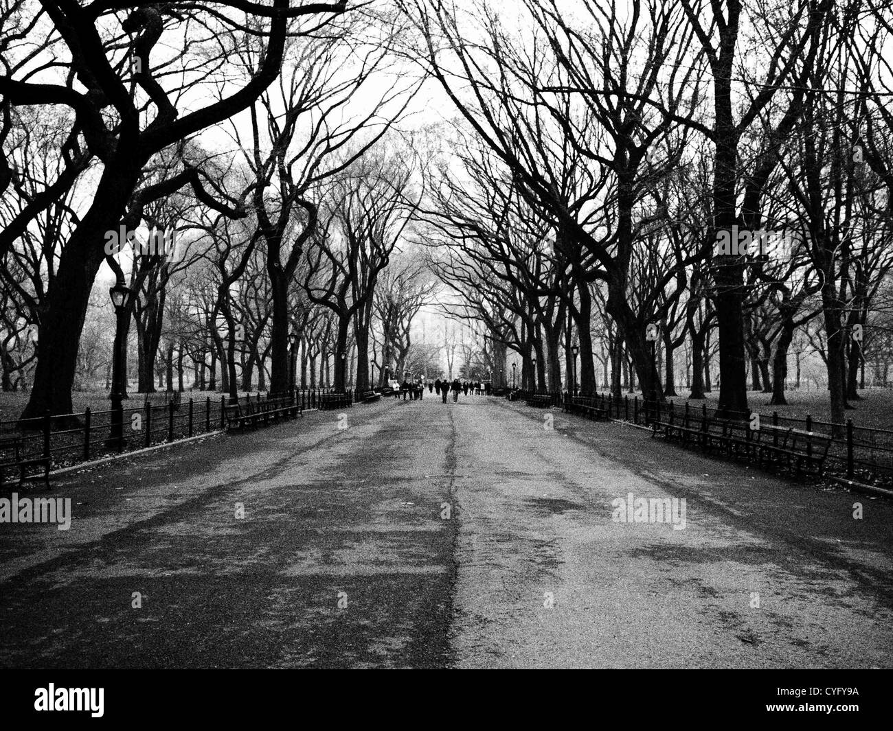Central park Black and White Stock Photos & Images - Alamy