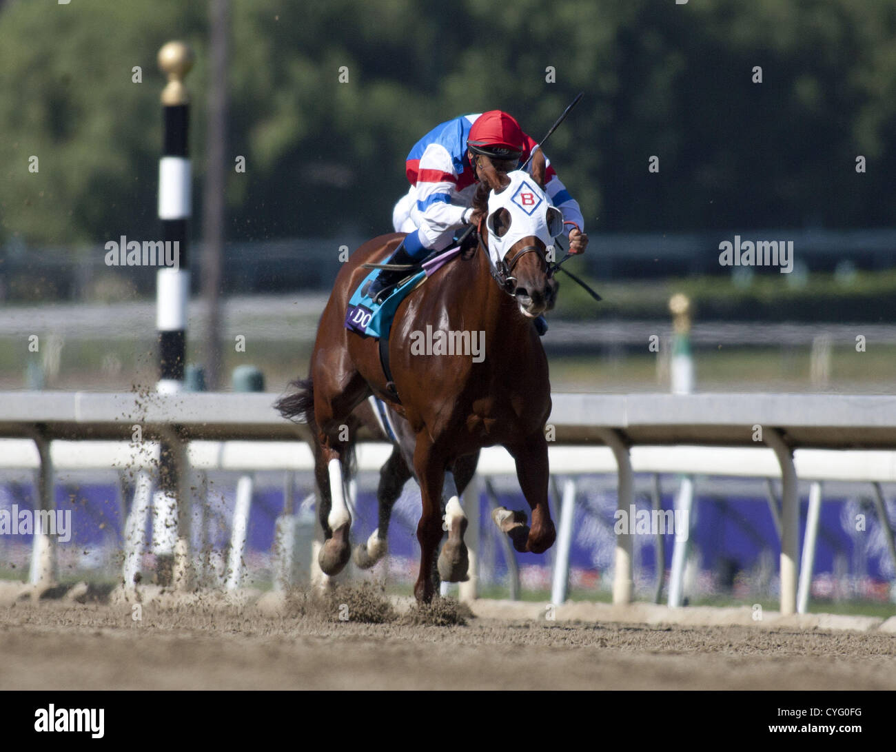 Nov. 3, 2012 Arcadia, CALIFORNIA, USA (9) Rajiv Maragh on Groupie