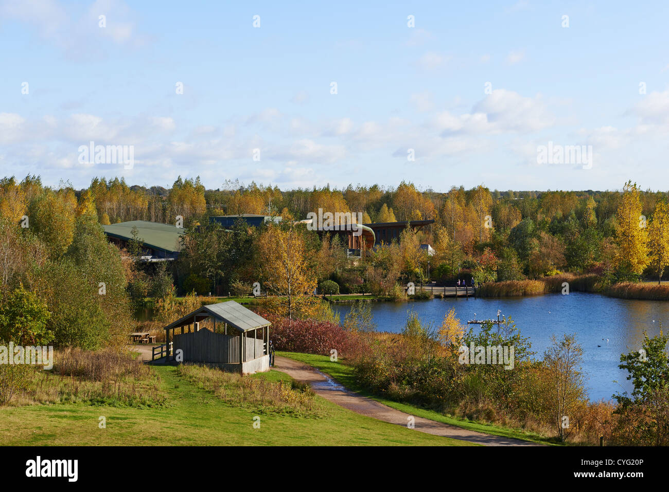 Conkers national forest hi-res stock photography and images - Alamy