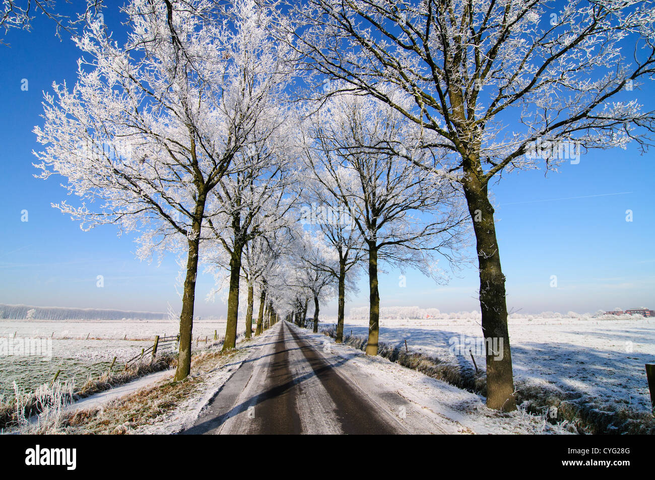Winter landscape with a country road and white frosted trees against a ...
