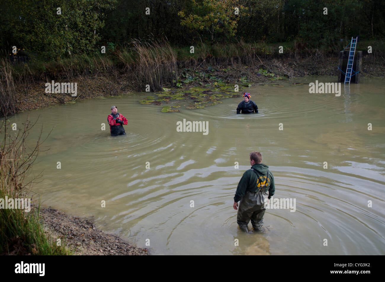 Collecting fish for stocking Stock Photo