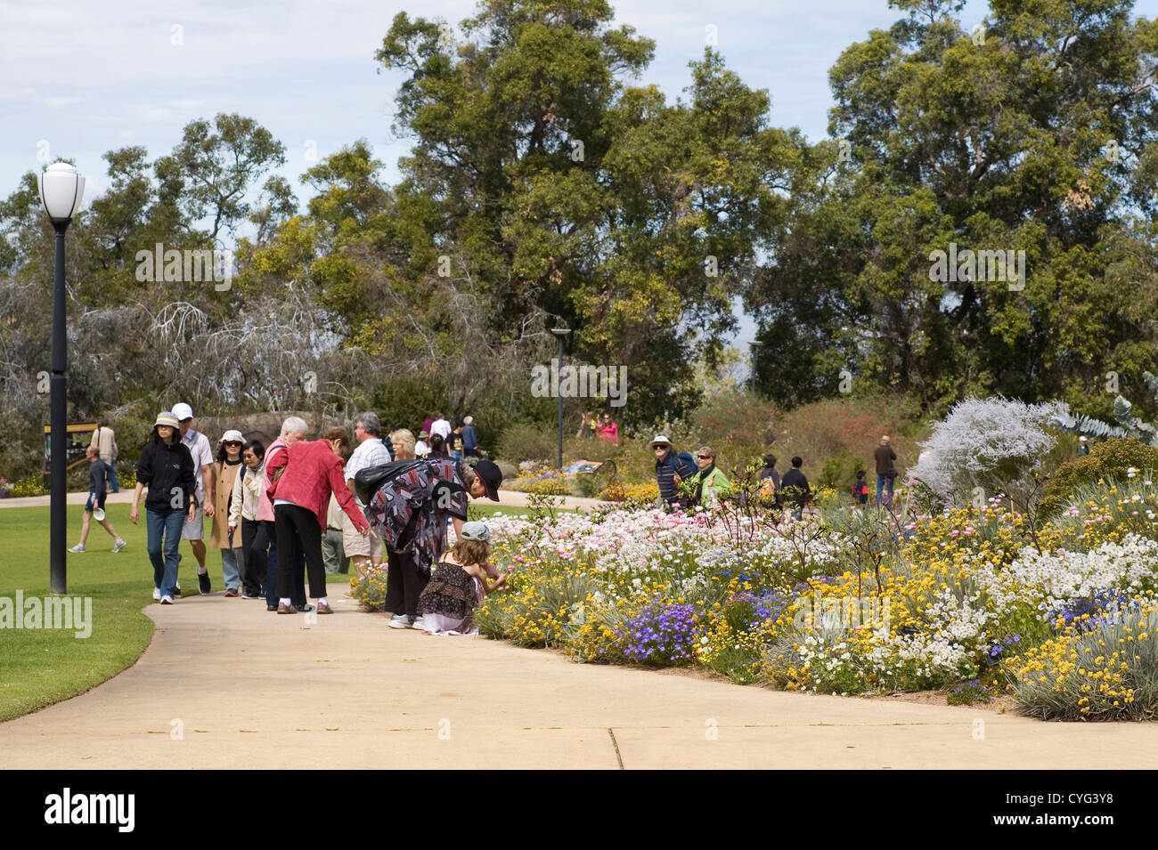 Tourists enjoying the springtime wildflower displays in Kings Park, Perth. Western Australia