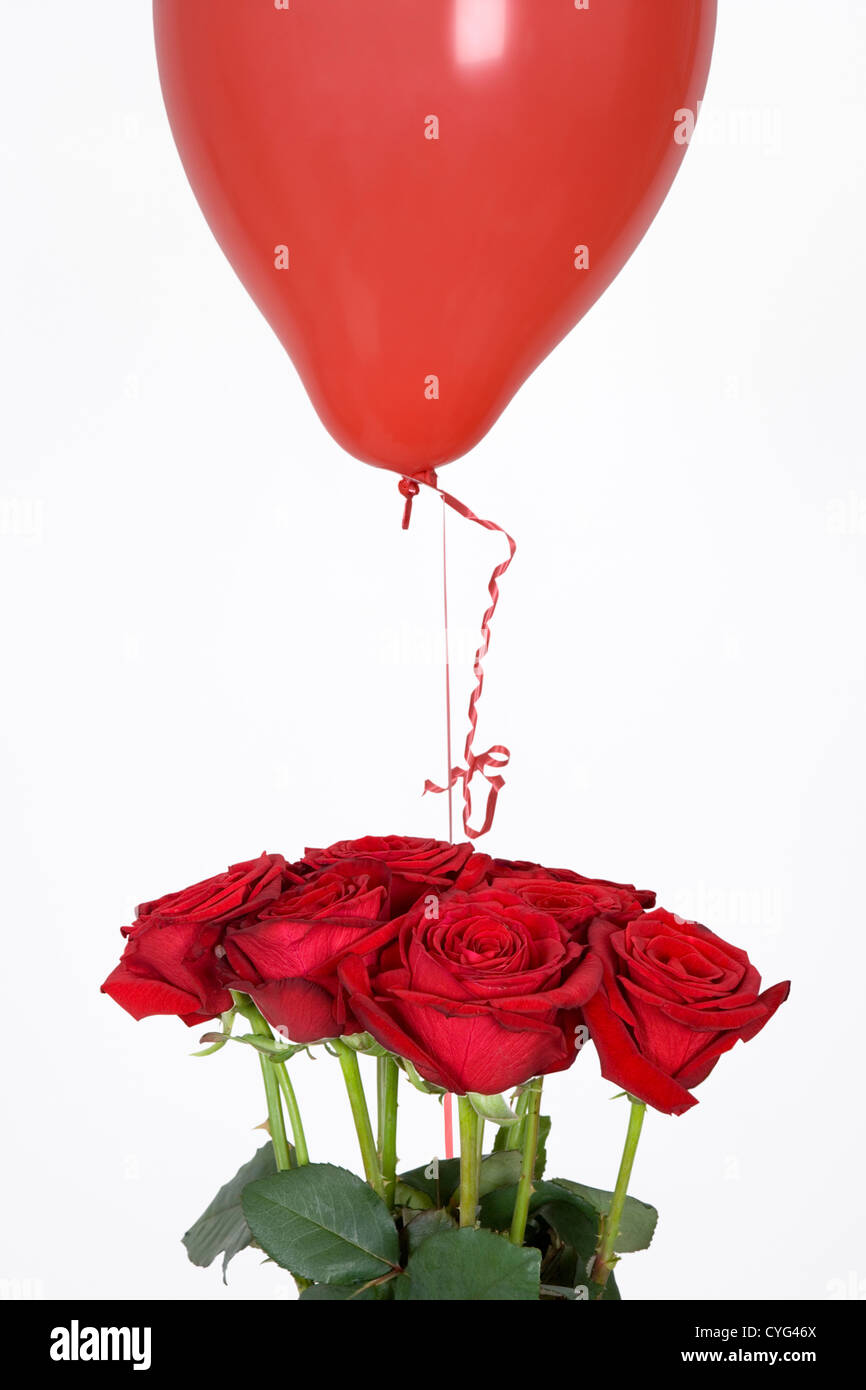 tudor rose clipart balloon