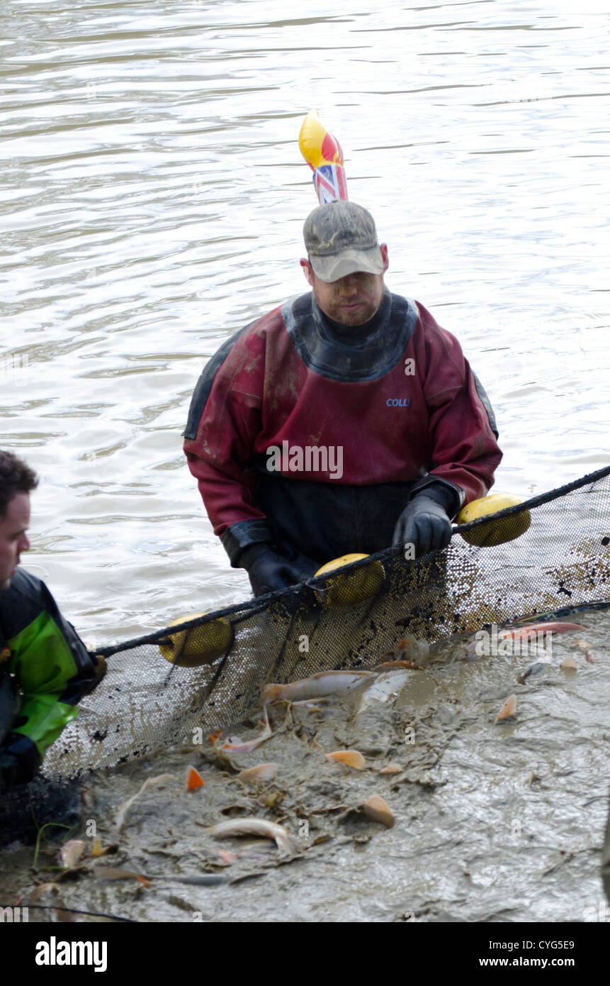 Fish netting in devon Stock Photo Alamy