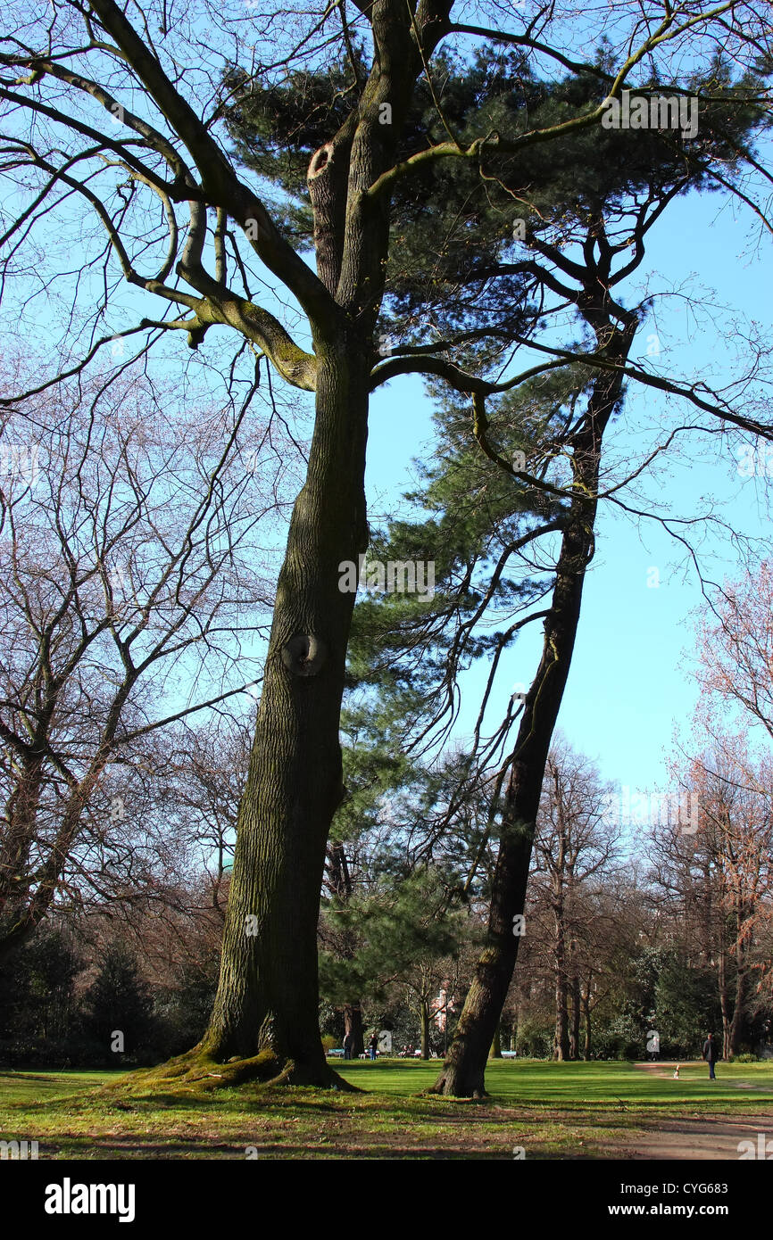 Empty hiking trail at spring park Stock Photo - Alamy