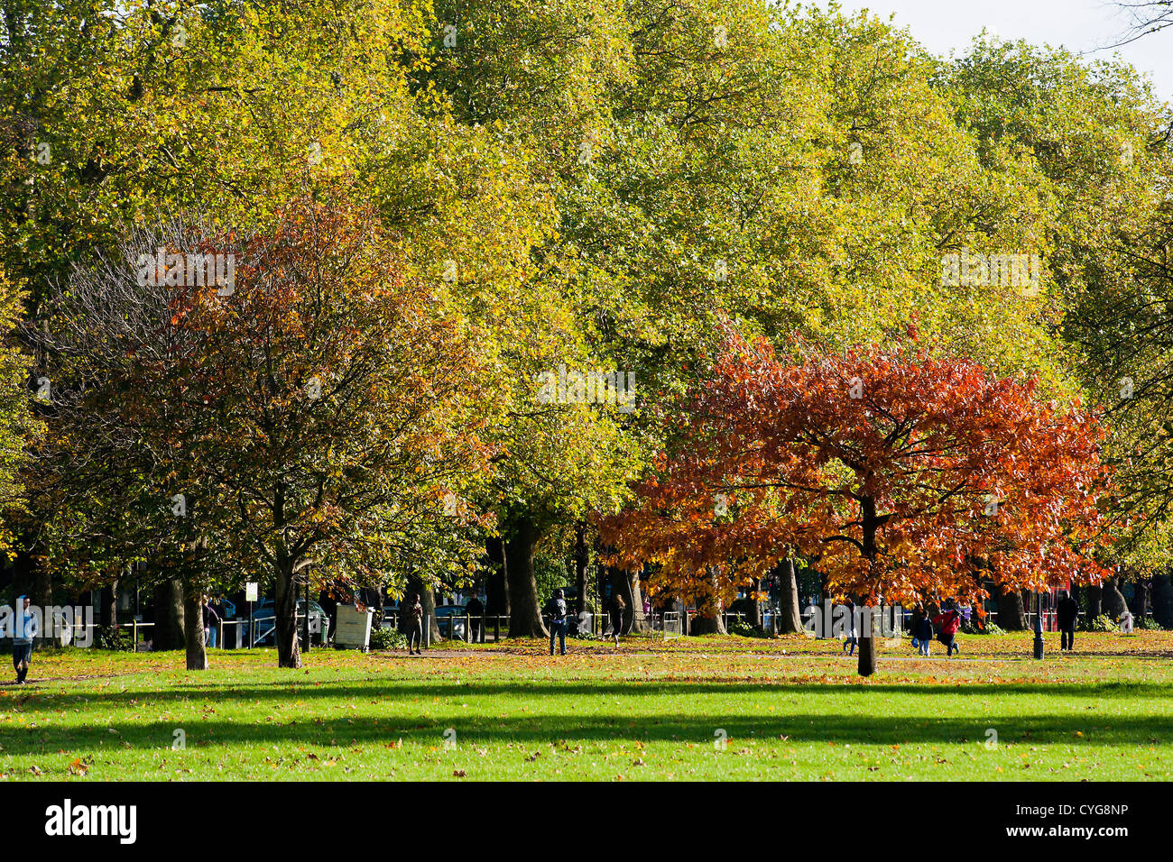 Clapham Common in the Autumn Stock Photo