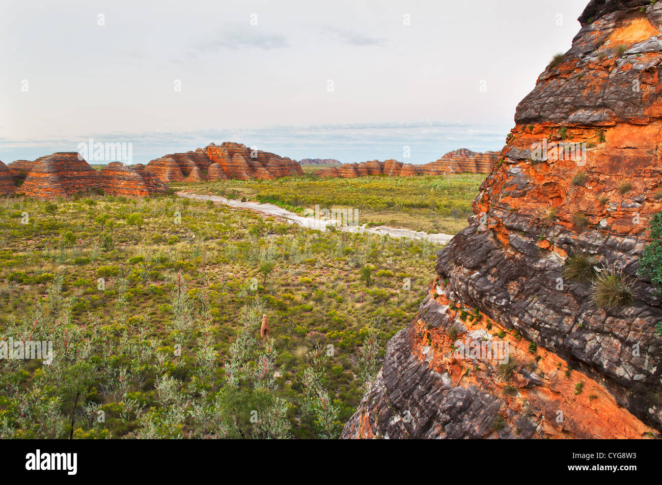 Beehive domes in the world heritage-listed Purnululu National Park.. Stock Photo