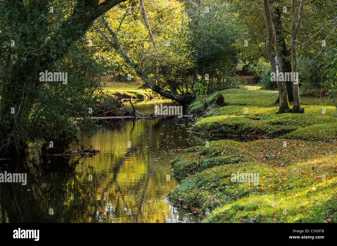 A New Forest landscape showing the banks of Beaulieu River with reflections of trees in the calm water, Hampshire. England, UK. Europe Stock Photo
