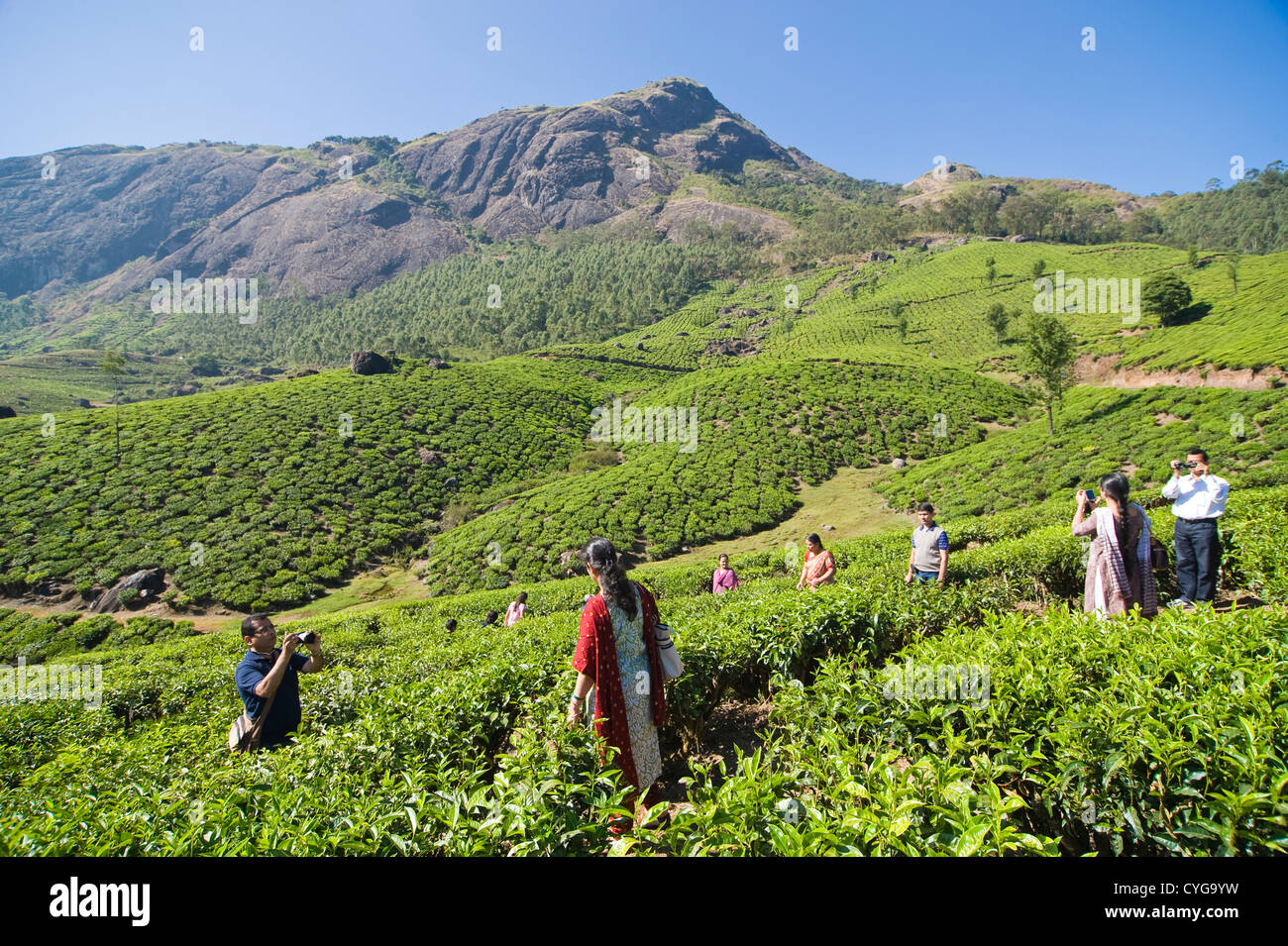 Horizontal view of Indian tourists admiring the stunning tea plantation scenery in the high