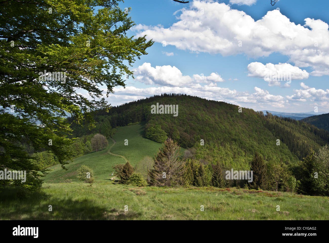 nice landscape of Moravskoslezske Beskydy mountains near sedlo pod Ostrym with Velka Kykula hill, mountain meadow with trees and blue sky with clouds Stock Photo