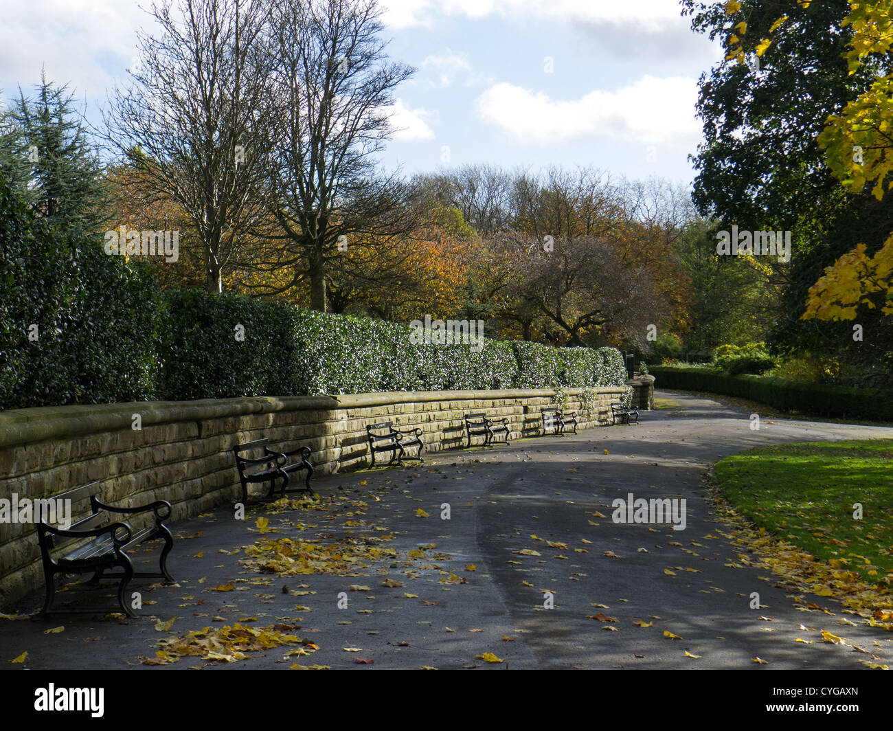 Park benches in Park, Oldham, Lancashire Stock Photo Alamy
