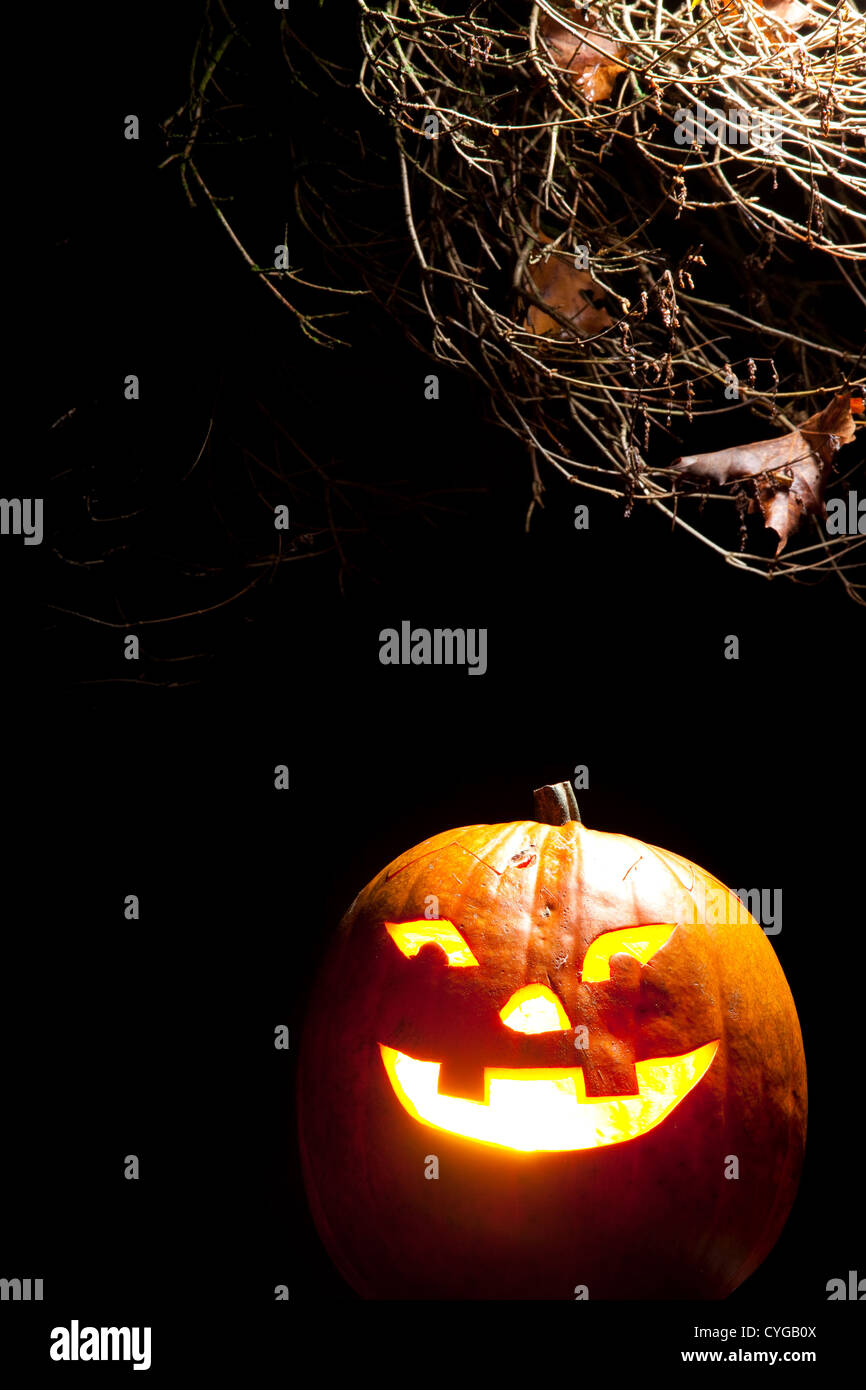 Pumpkin halloween hi-res stock photography and images - Alamy