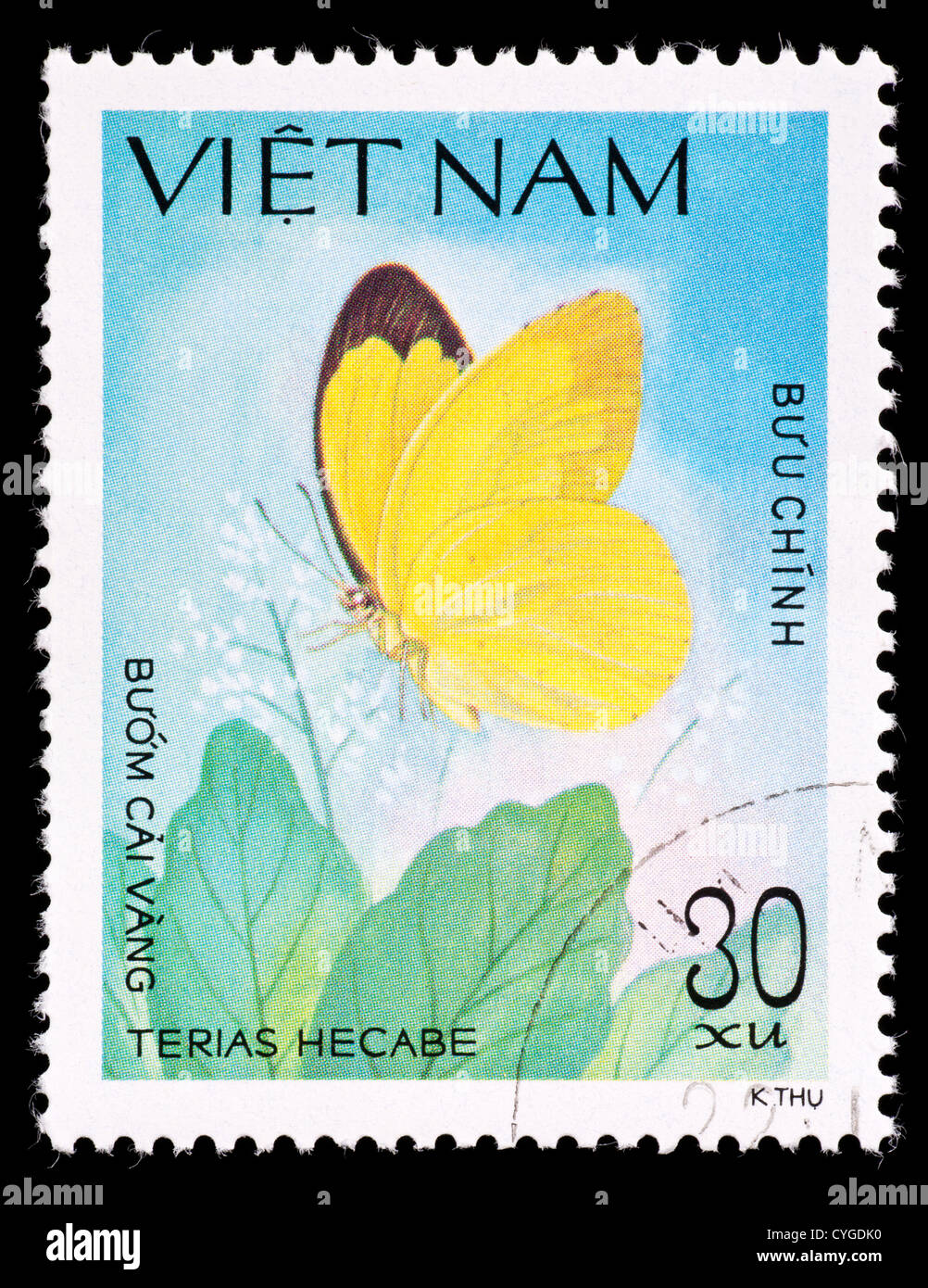Postage stamp from Vietnam depicting a yellow butterfly (Terias hecabe