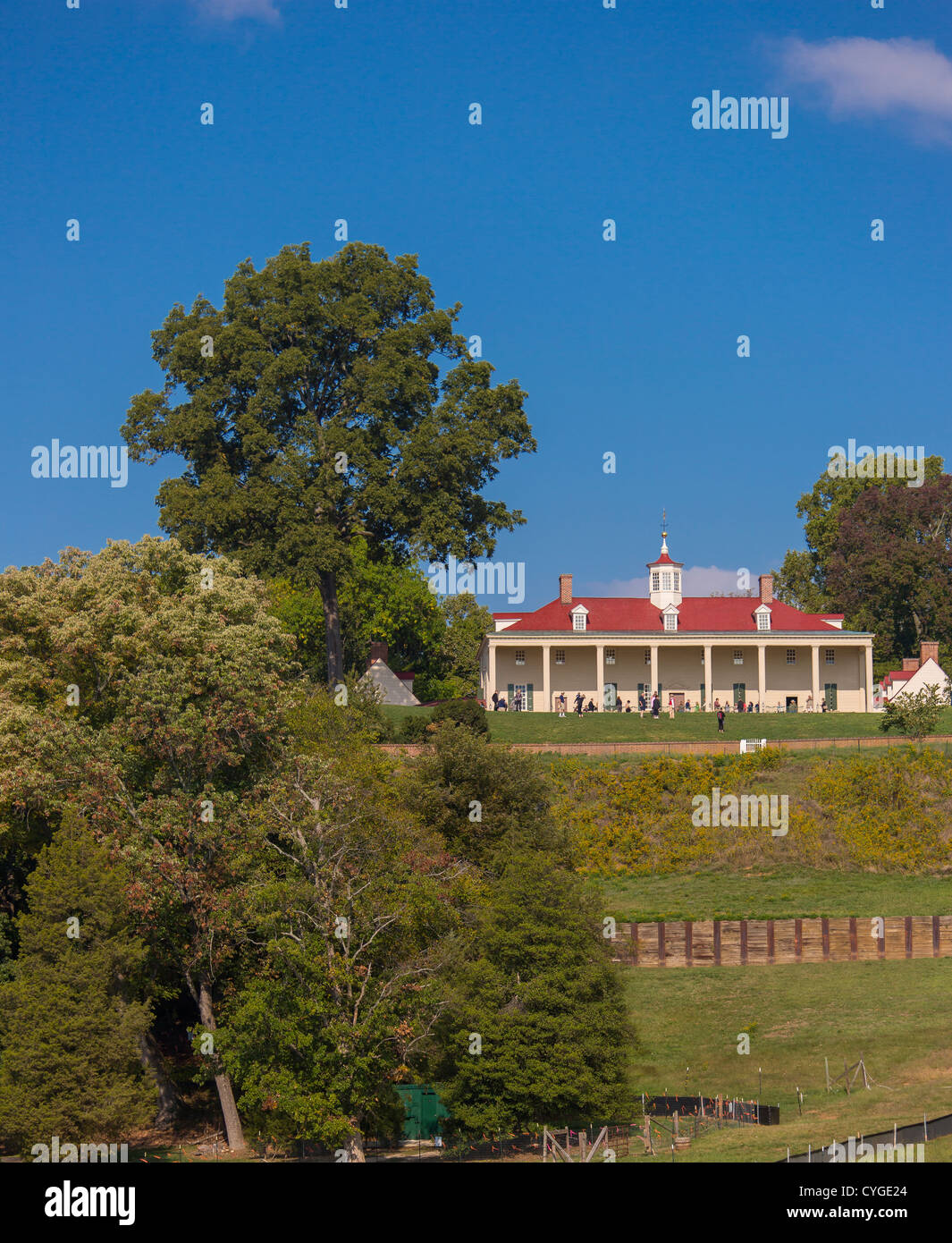 MOUNT VERNON, VIRGINIA, USA - Pecan tree (top left) at historic home of George Washington, first President of USA. Stock Photo