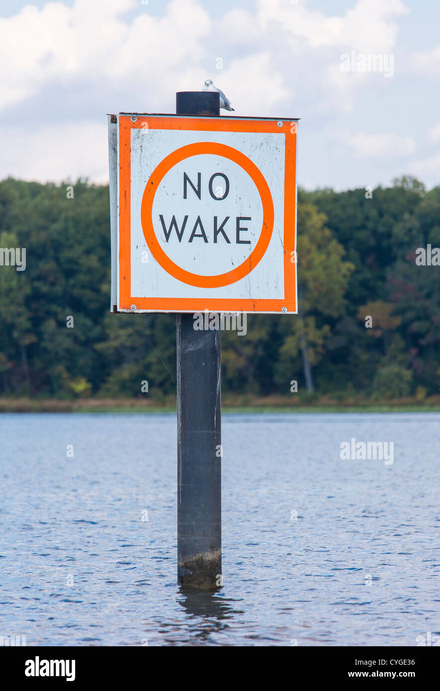 OCCOQUAN, VIRGINIA, USA - No Wake sign on Occoquan RIver. Stock Photo
