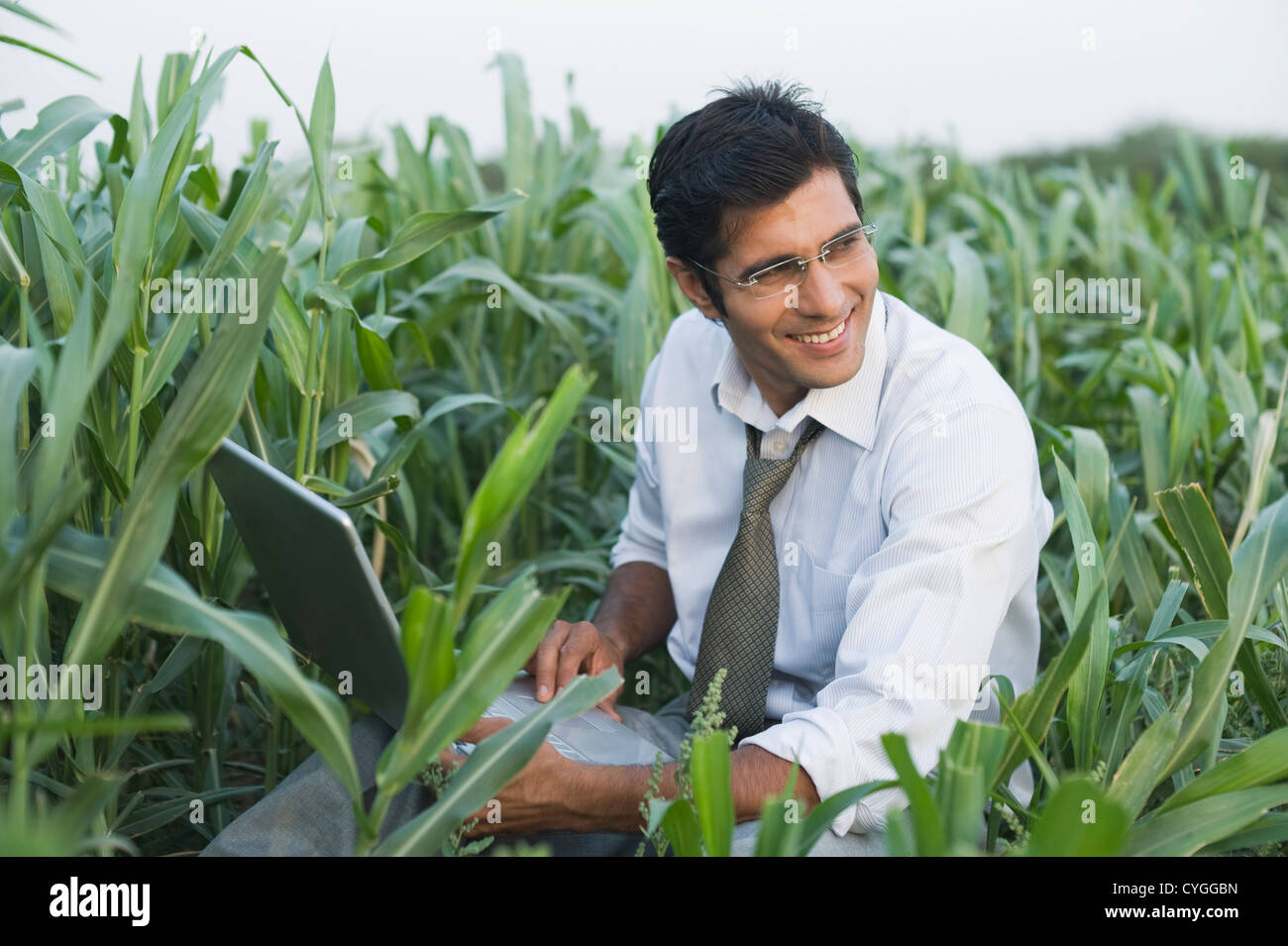 Businessman using a laptop in a farm Stock Photo Alamy
