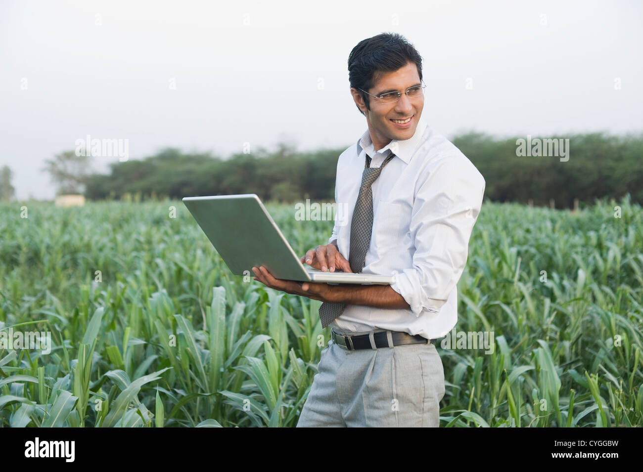 Businessman using a laptop in a farm Stock Photo Alamy