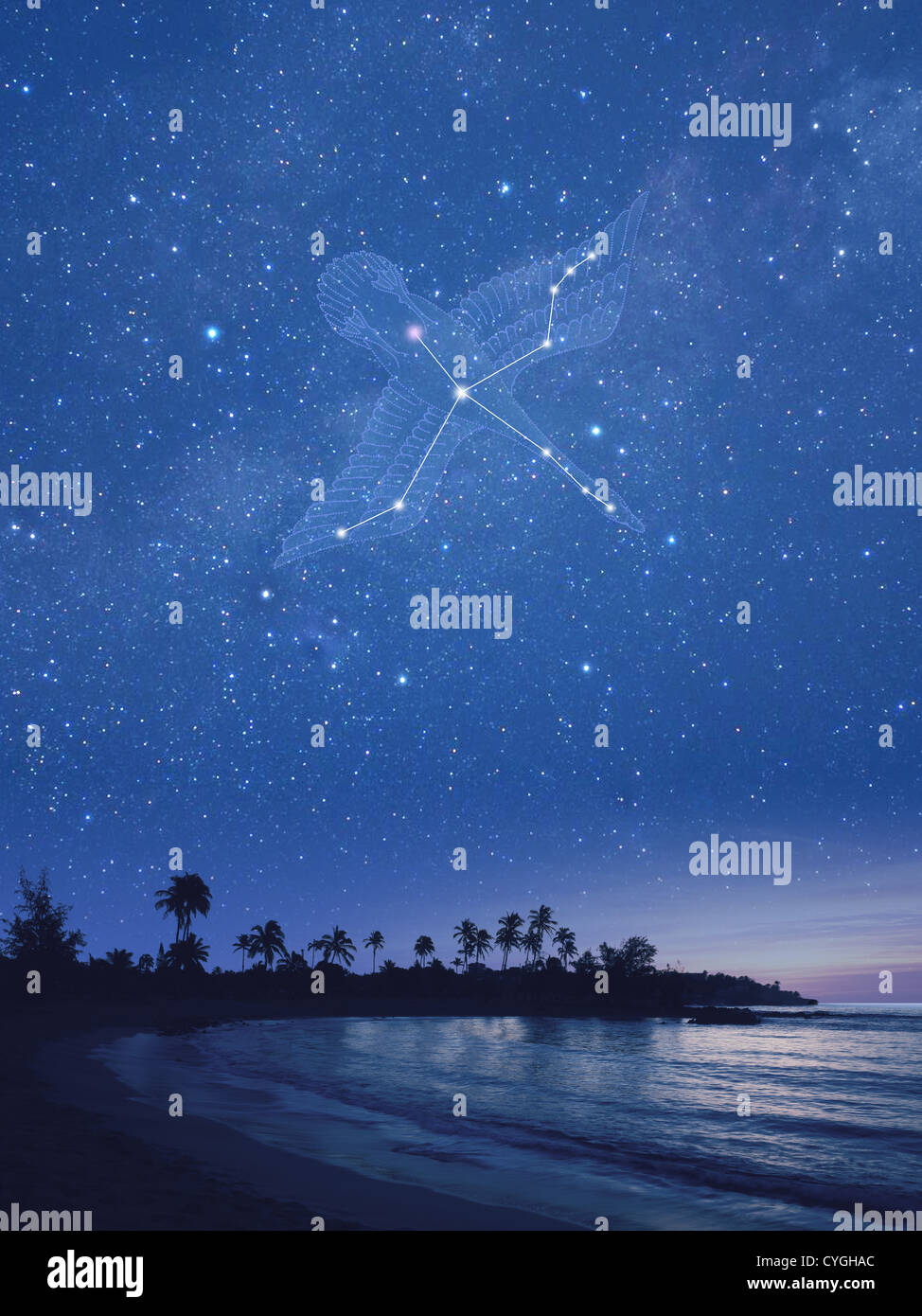 Cygnus constellation in Hawaii at night Stock Photo