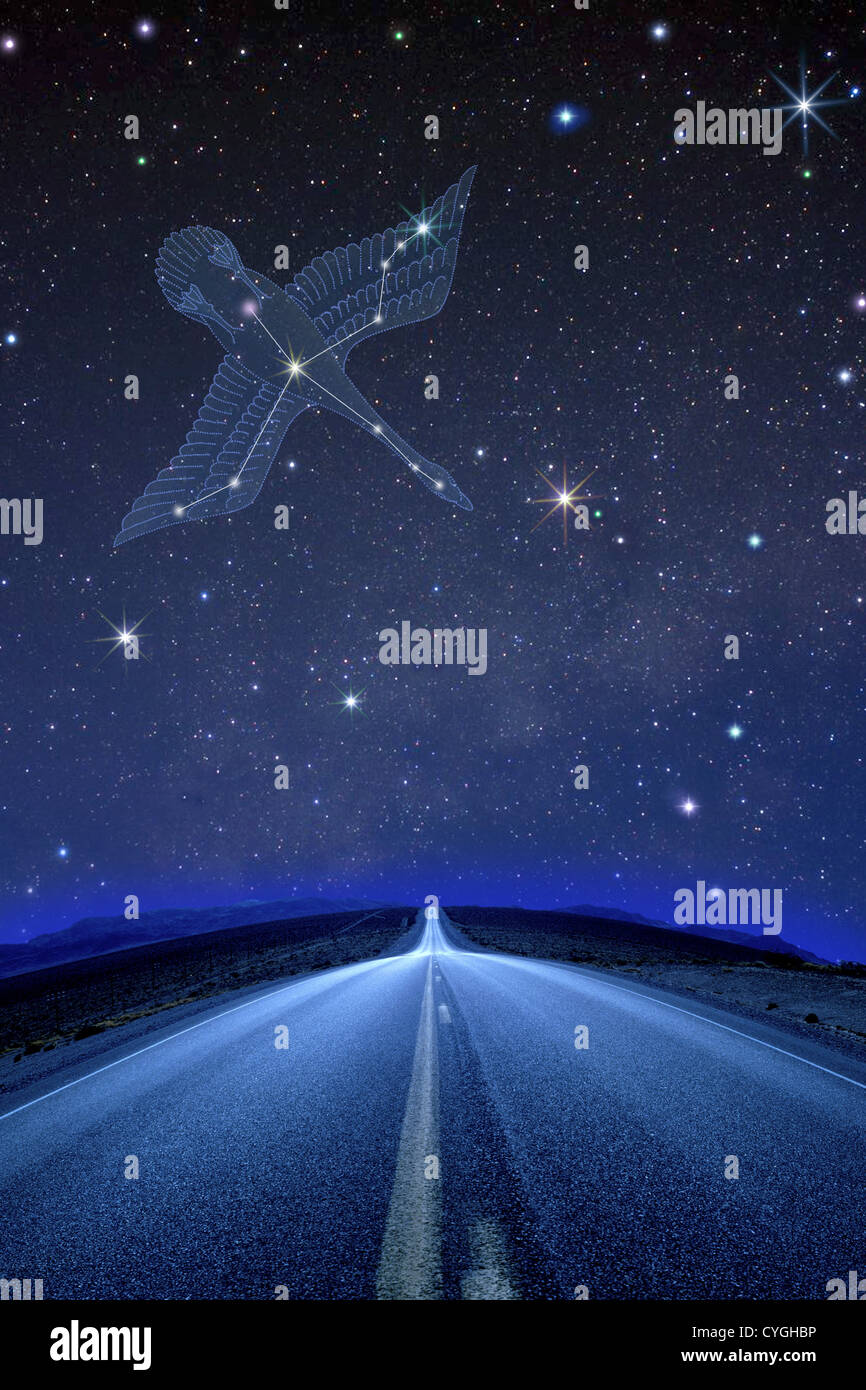 Cygnus constellation and road at night Stock Photo