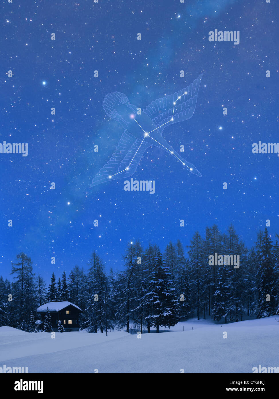 Cygnus constellation in the snowy Switzerland Stock Photo