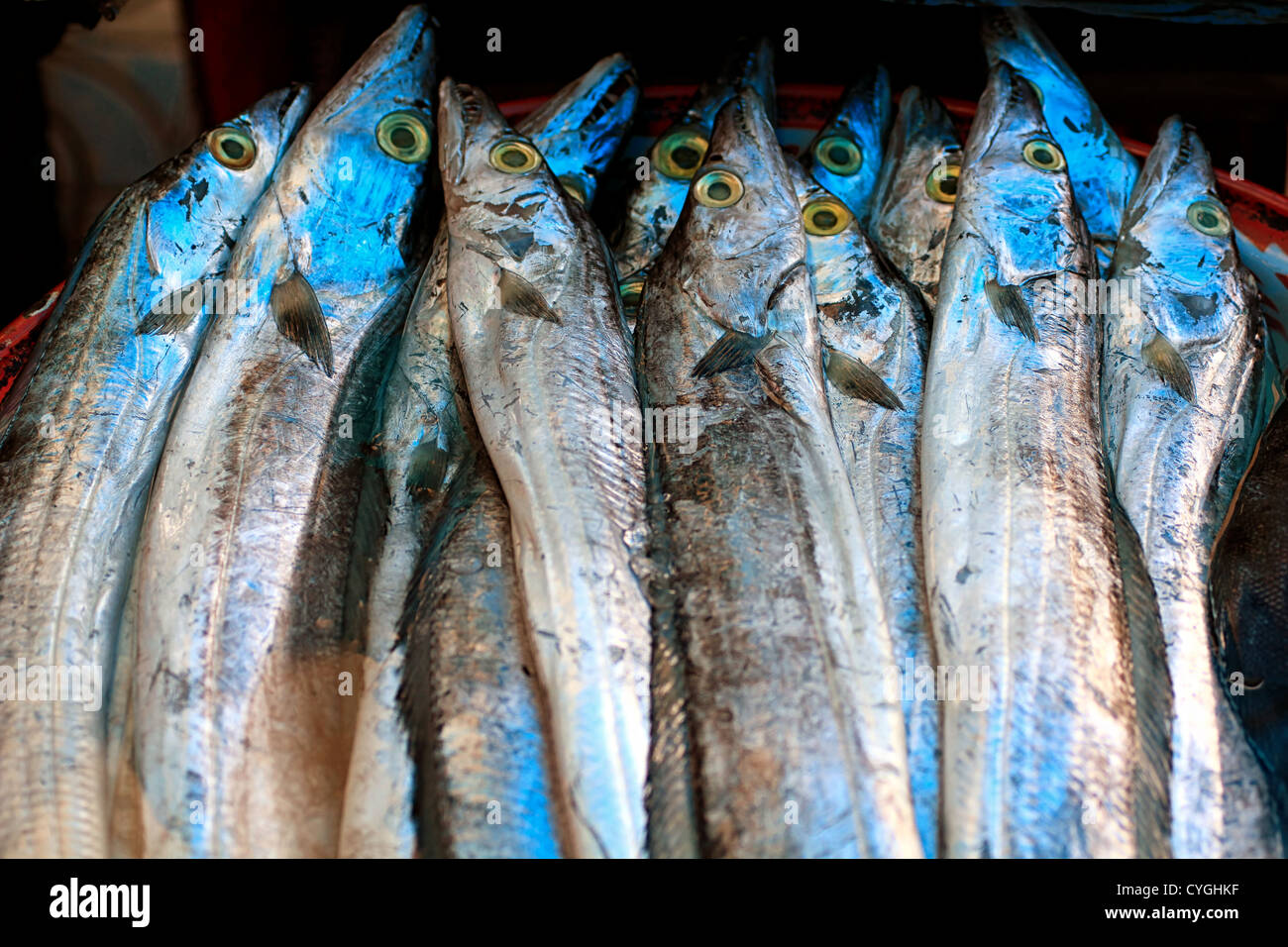 Dead Silver Scabbard Fish Stock Photo Alamy