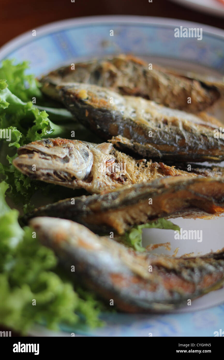 Deep Fried Mackerel Stock Photo Alamy
