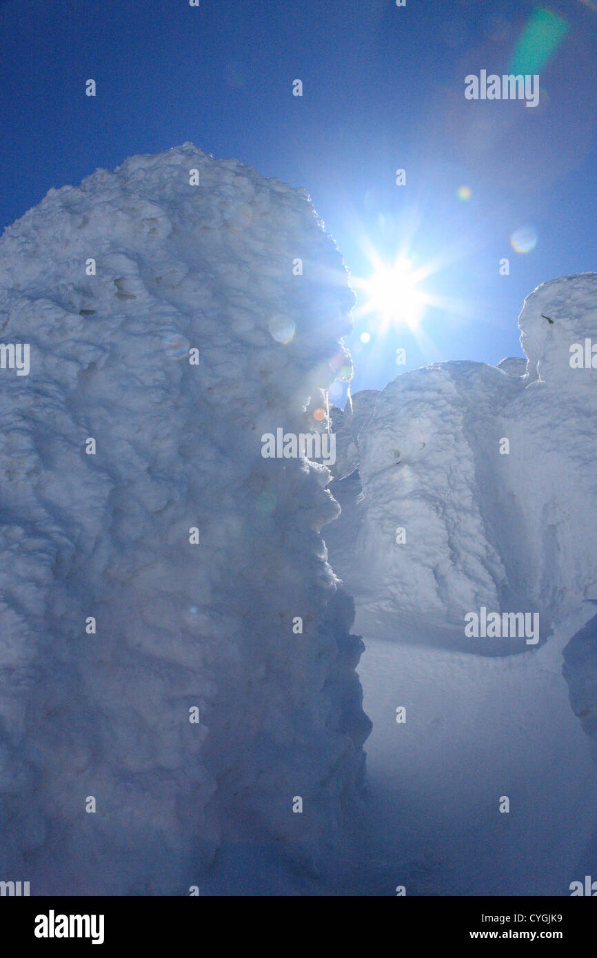 Frozen rime in Zao, Yamagata Prefecture Stock Photo