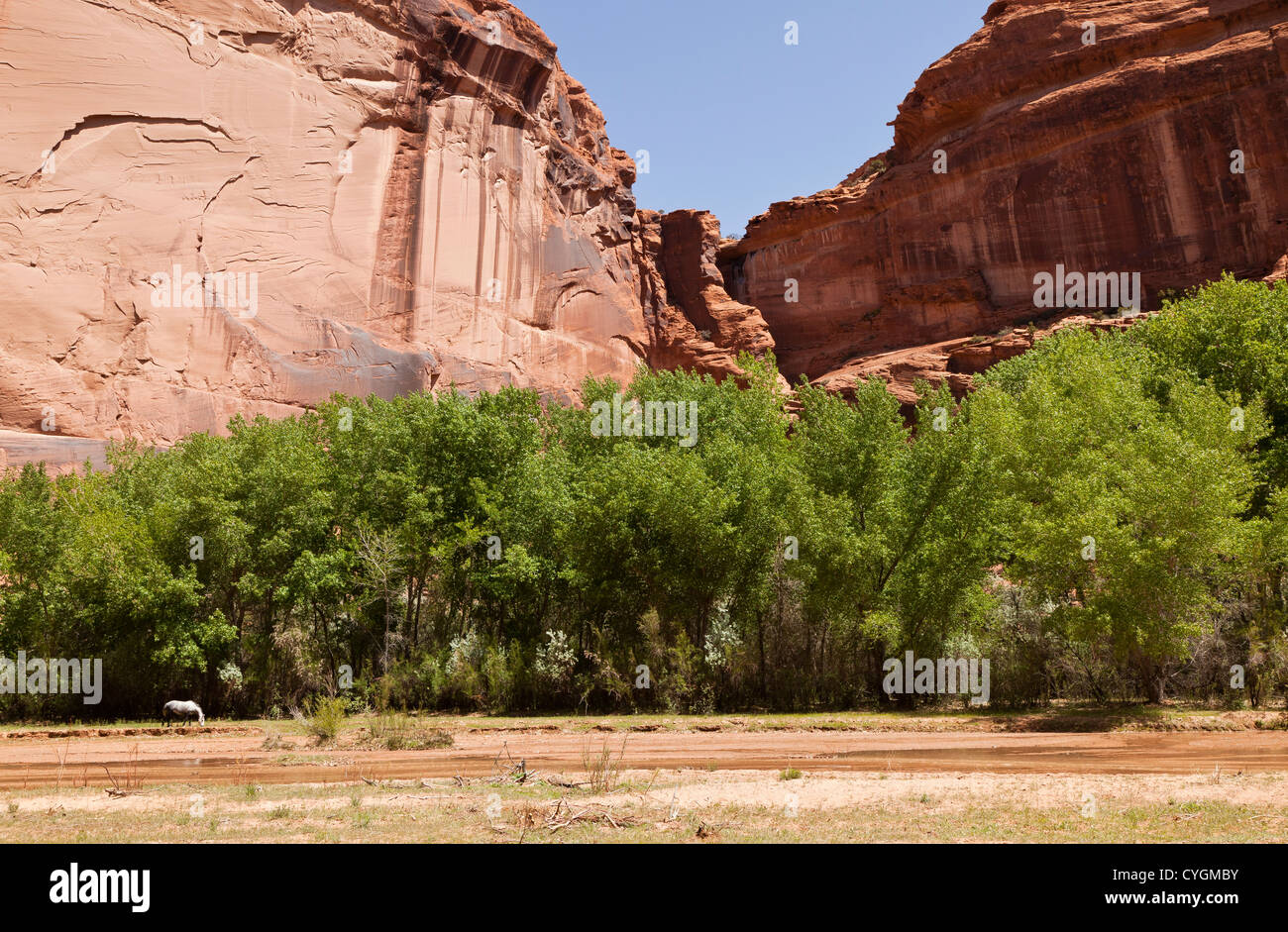 View from the canyon floor in Canyon de Chelly, Arizona, USA Stock Photo