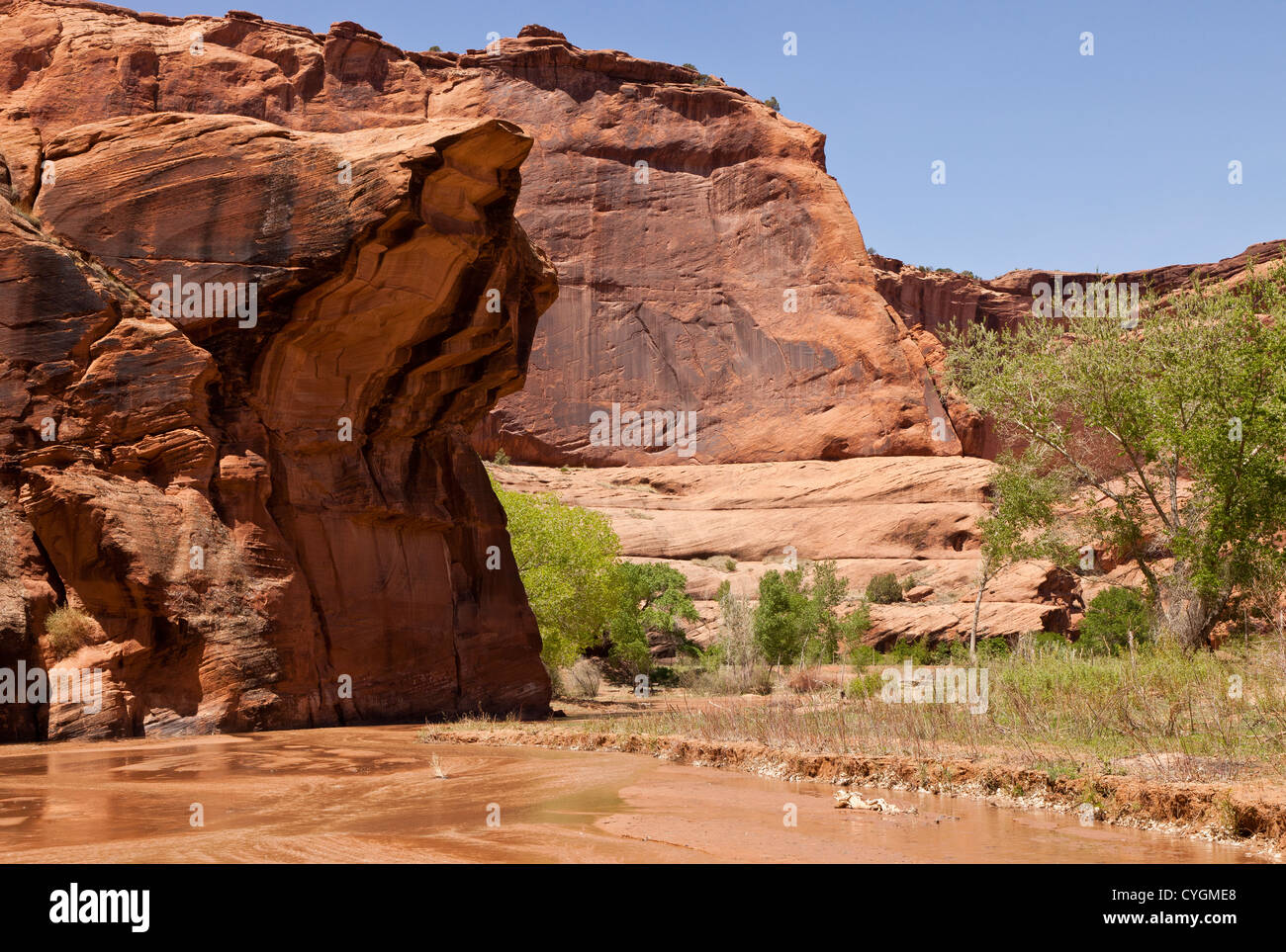 View from the canyon floor in Canyon de Chelly, Arizona, USA Stock Photo