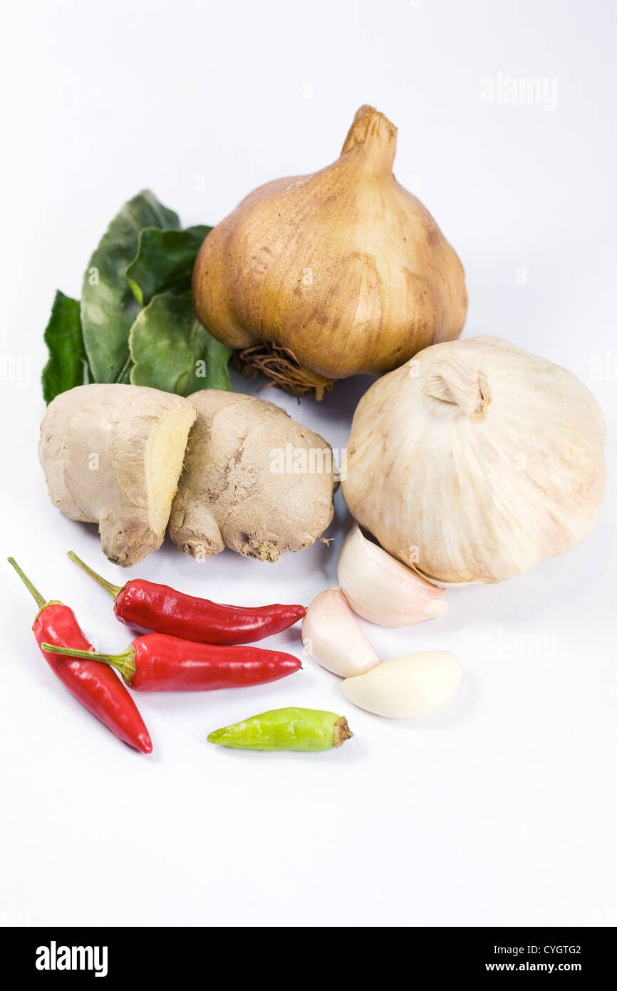 A selection of fresh and dried culinary herbs and spices against a white background. Stock Photo