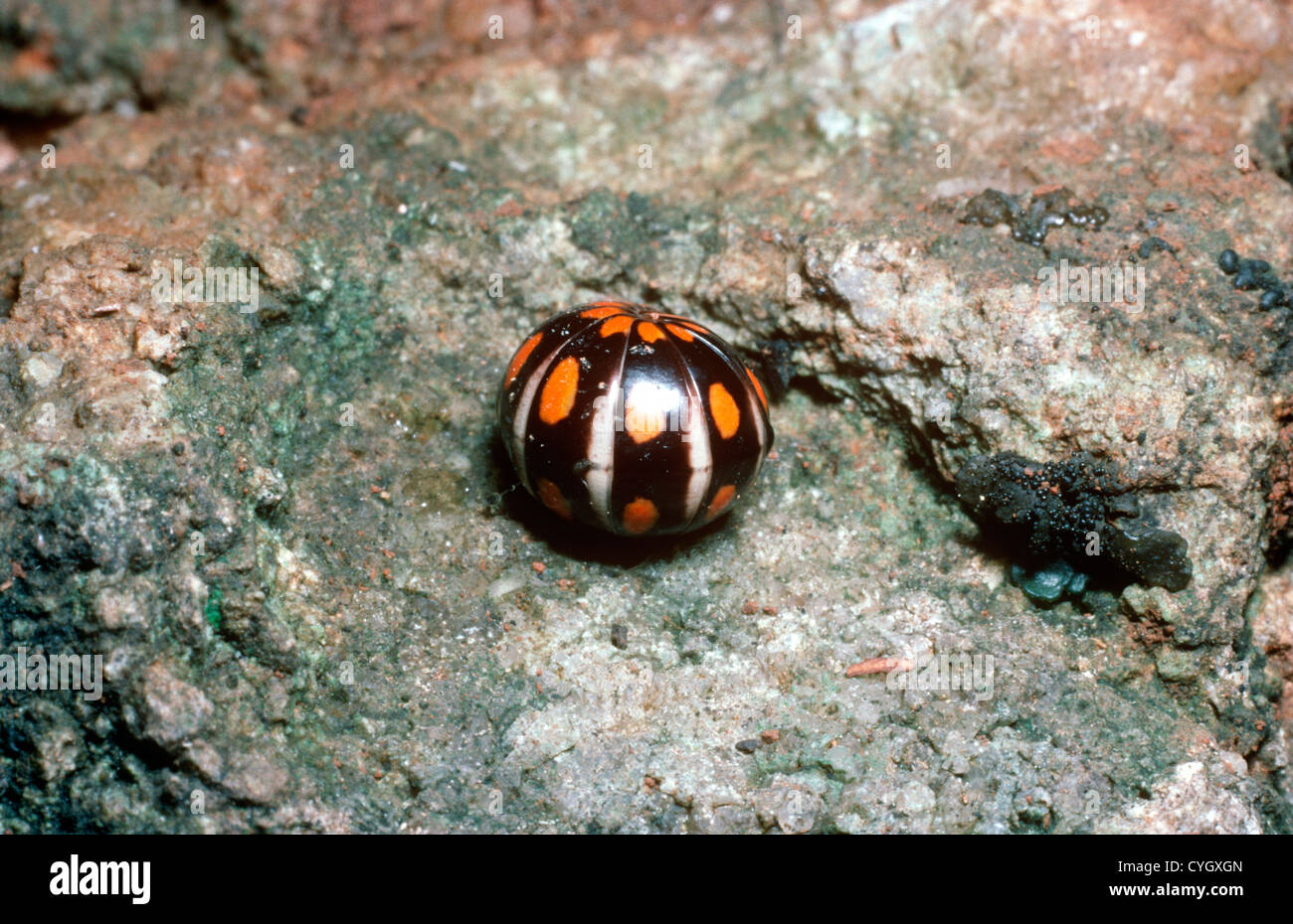 Warningly hi-res stock photography and images - Alamy