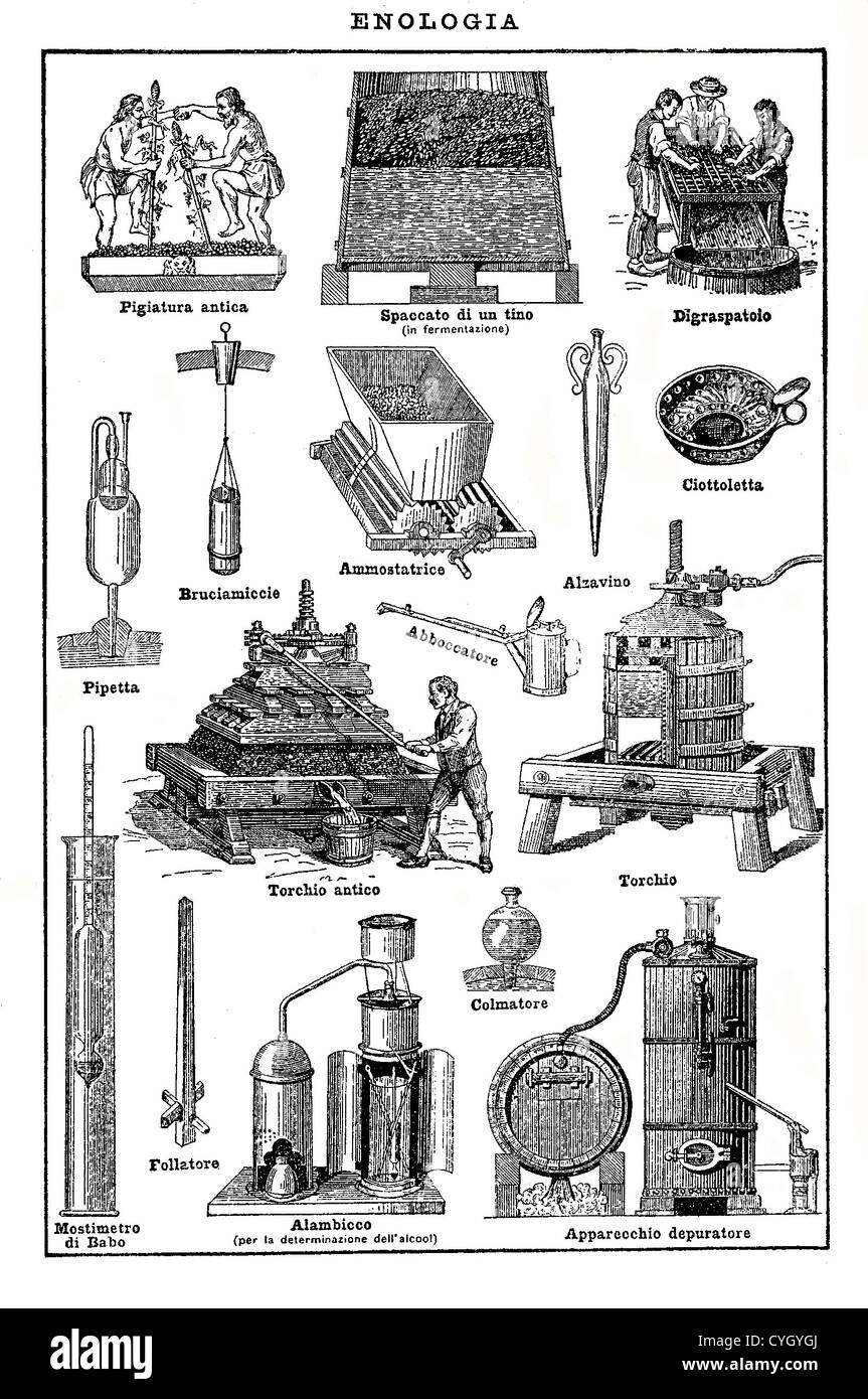 Vintage wine illustration hires stock photography and images Alamy