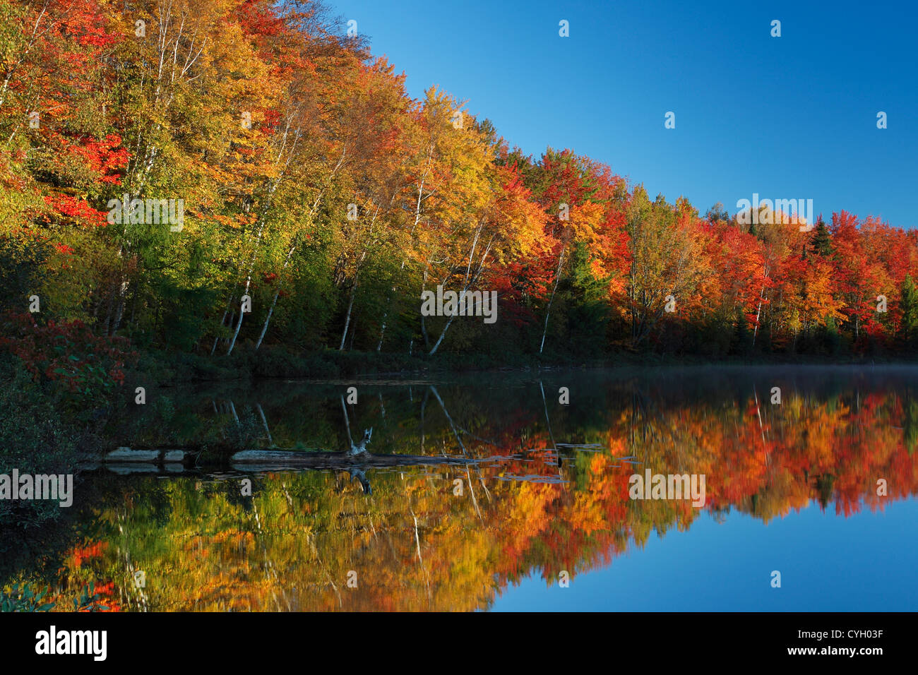 Upper peninsula a reflection a hi-res stock photography and images - Alamy