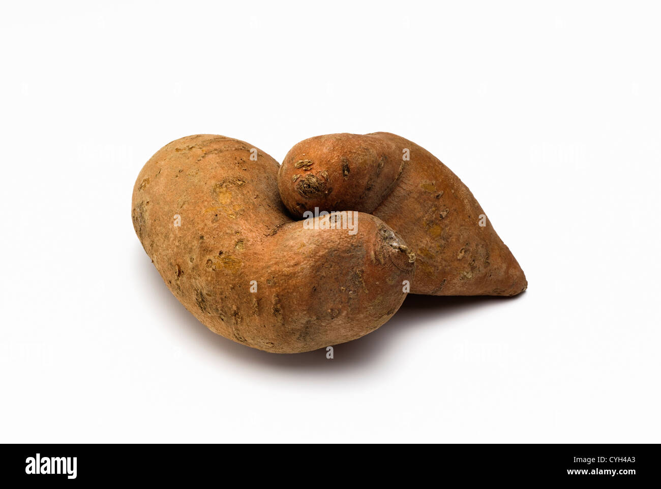 Two sweet potatoes isolated Stock Photo