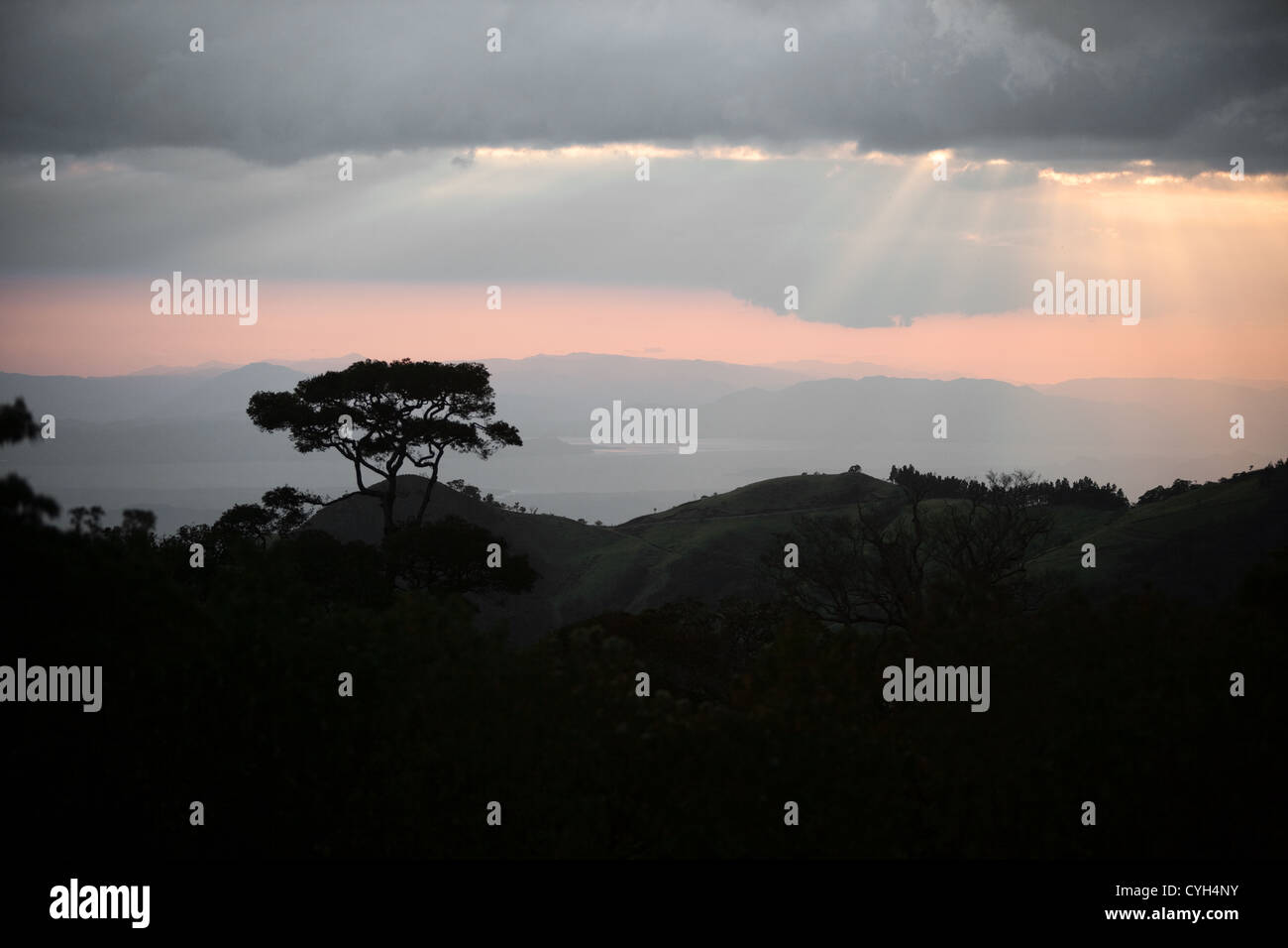 Jungle scene hi-res stock photography and images - Alamy