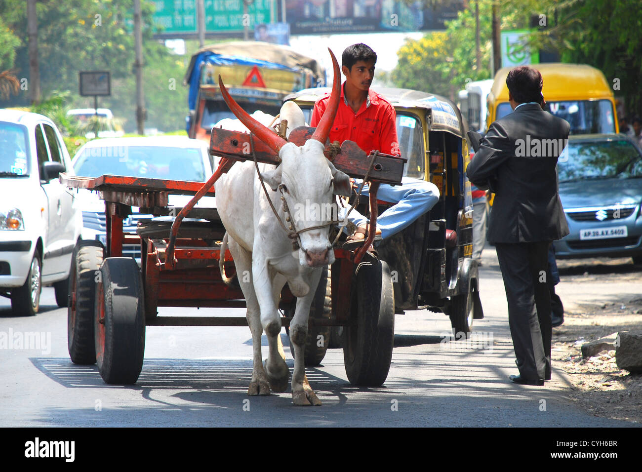 Street scene in the city of Pune (Poona), India. Oxen pulls a cart passed a suited man talking on cellphone Stock Photo