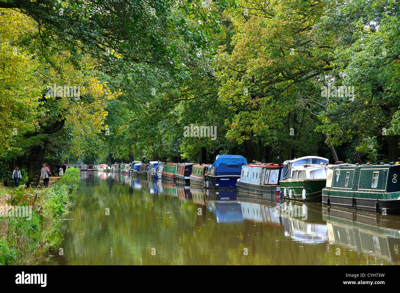 River Wey Navigation Canal At Pyrford Surrey Stock Photo - Alamy