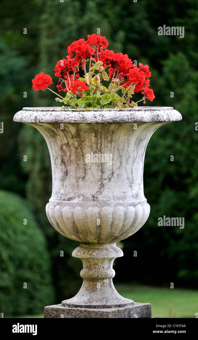 Large ornamental garden pot with red flowering geraniums Stock Photo ...