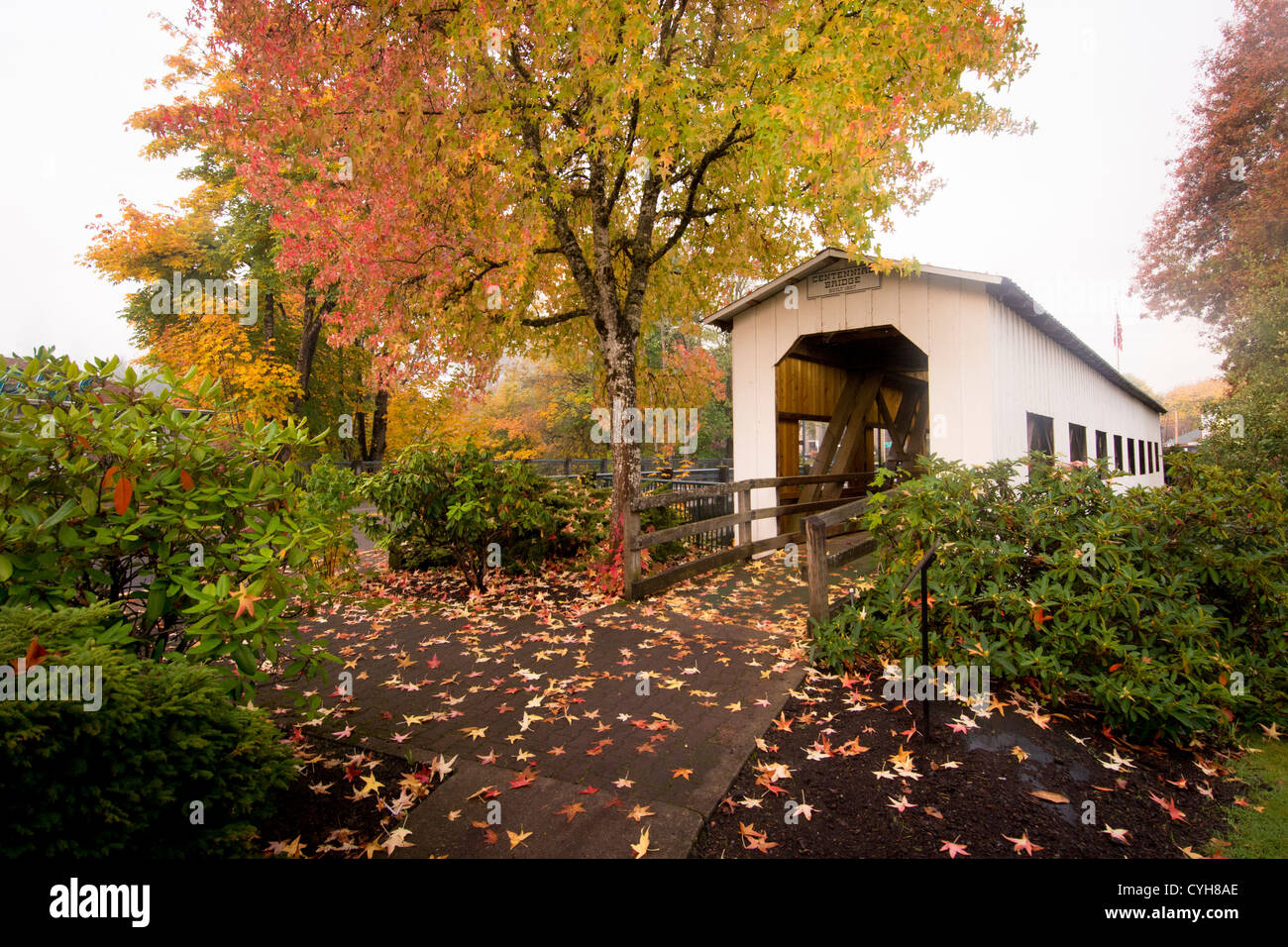 Fall Foliage Colors At Centennial Covered Bridge Cottage Grove