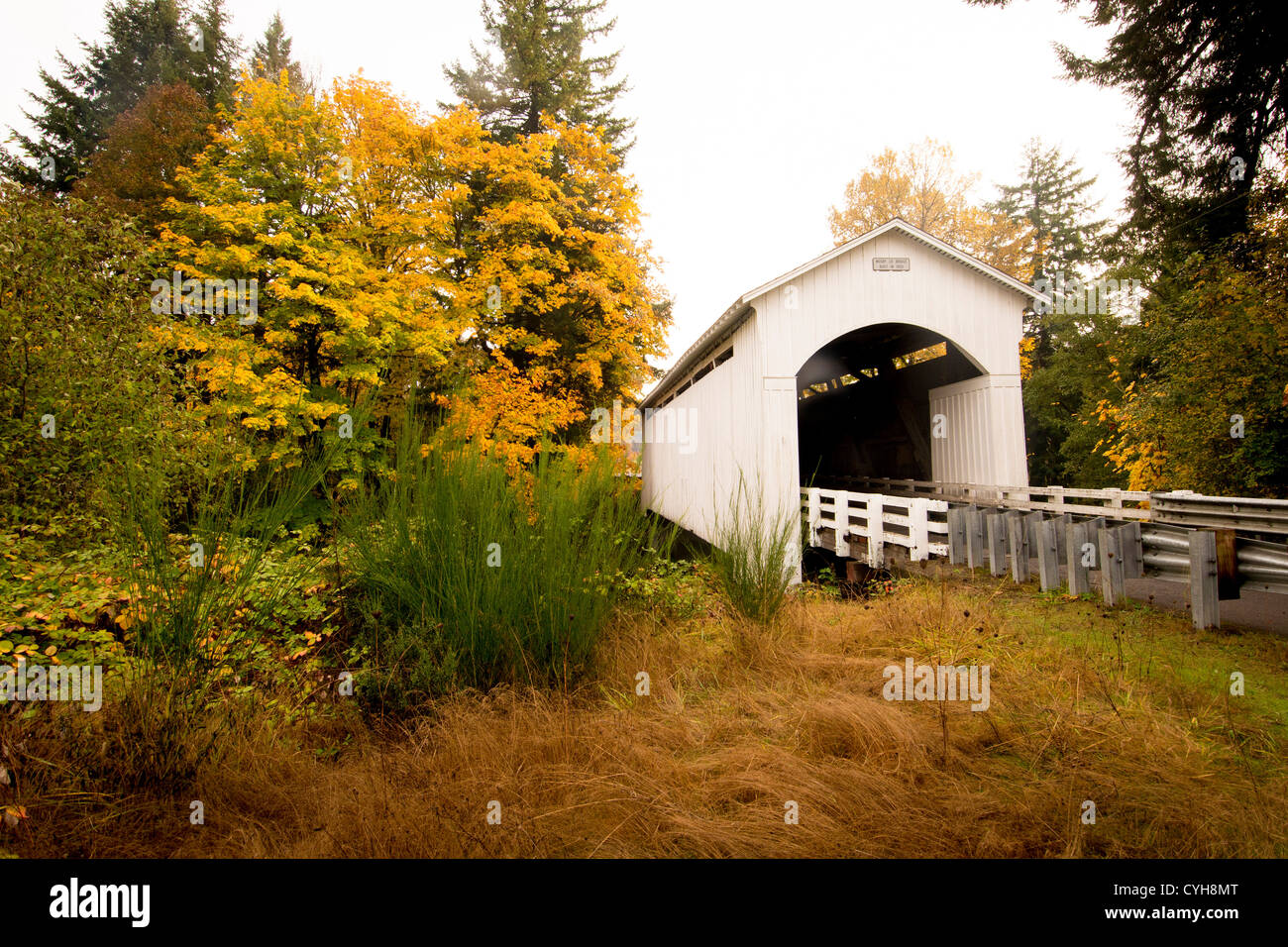 Covered Bridge Lane County Oregon High Resolution Stock Photography and ...