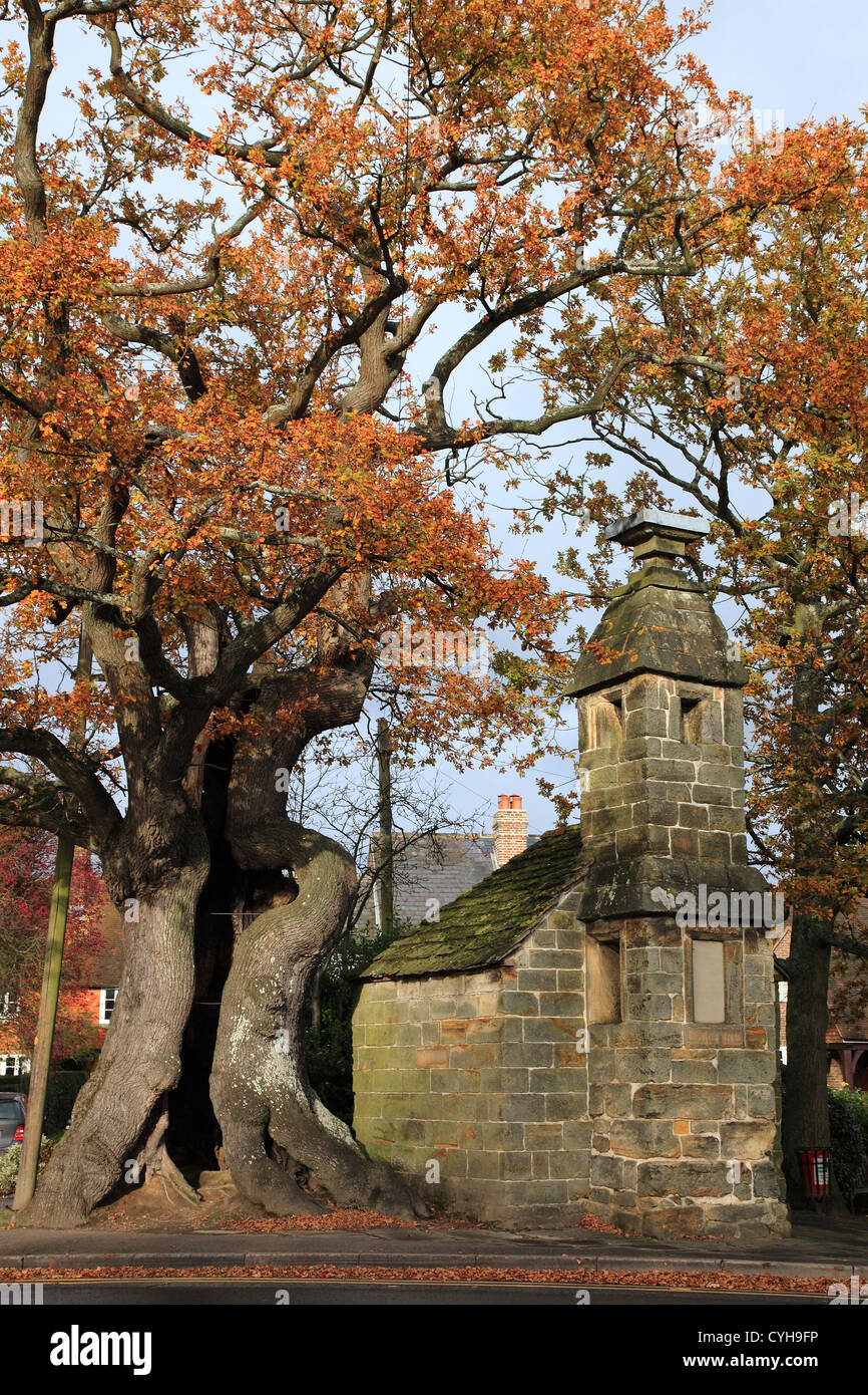 English cage hires stock photography and images Alamy