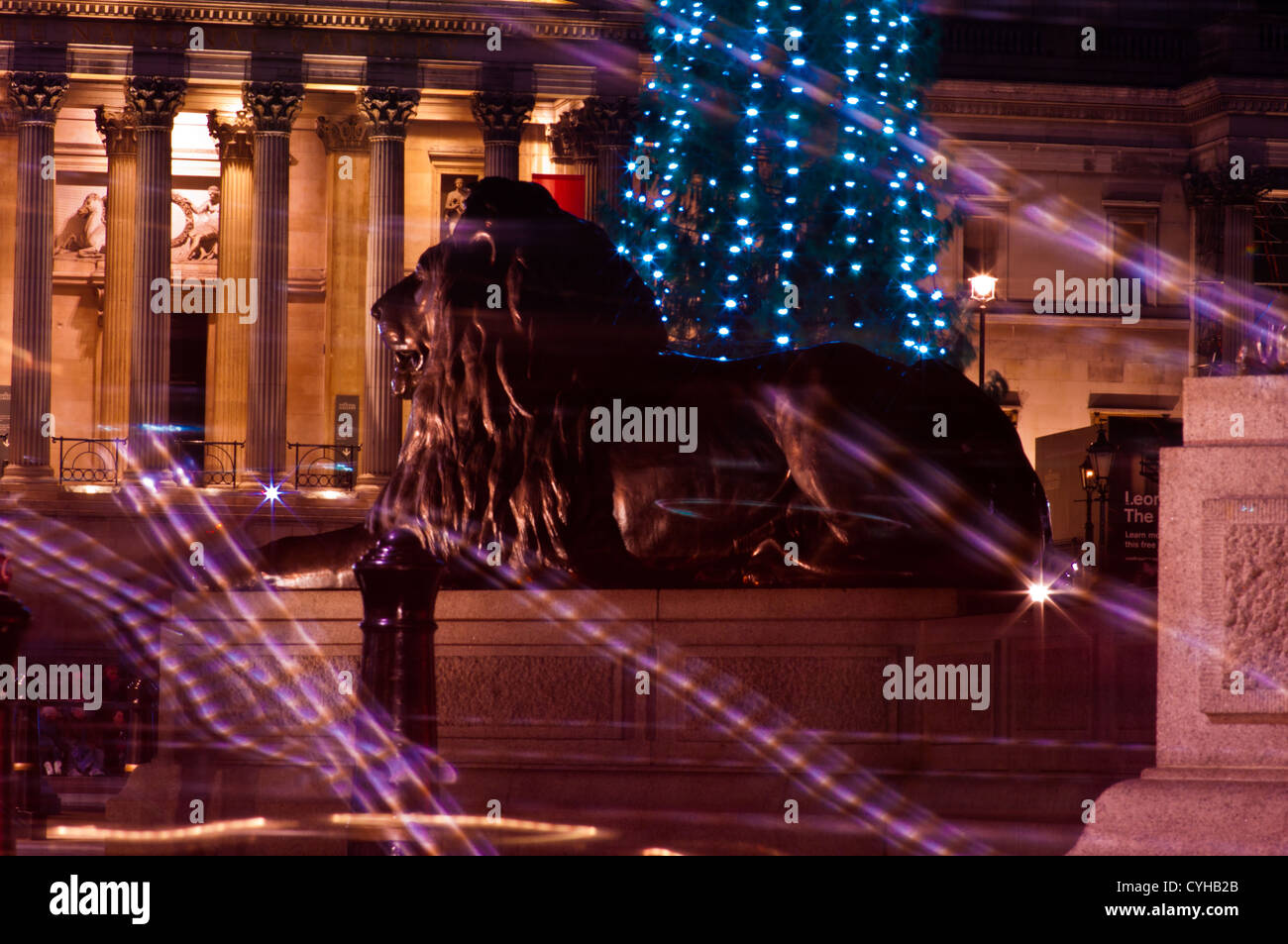 Trafalgar Square Christmas Tree with Lights Lion statue National Gallery Stock Photo