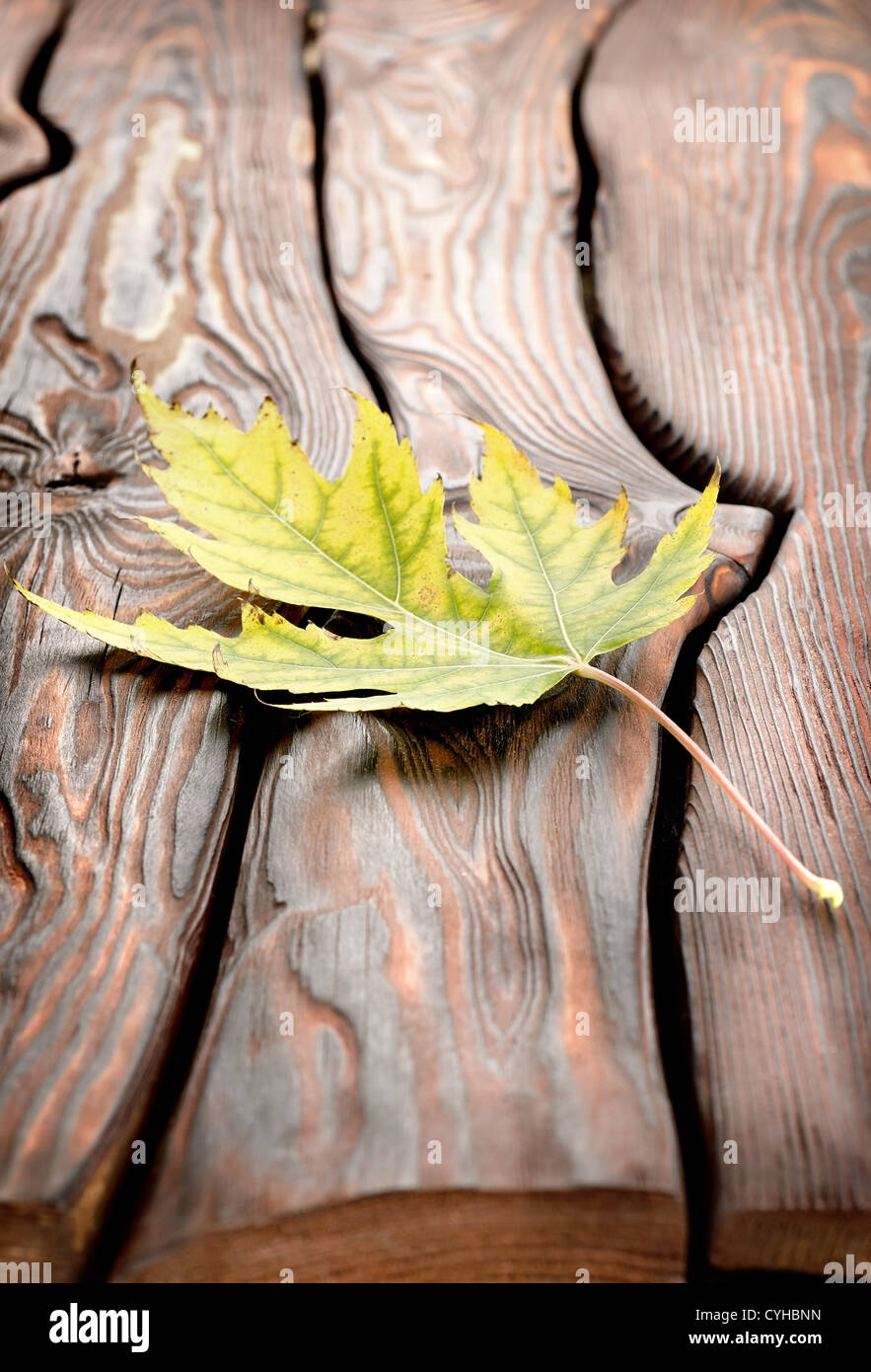 Autumn decoration on an old wooden surface Stock Photo