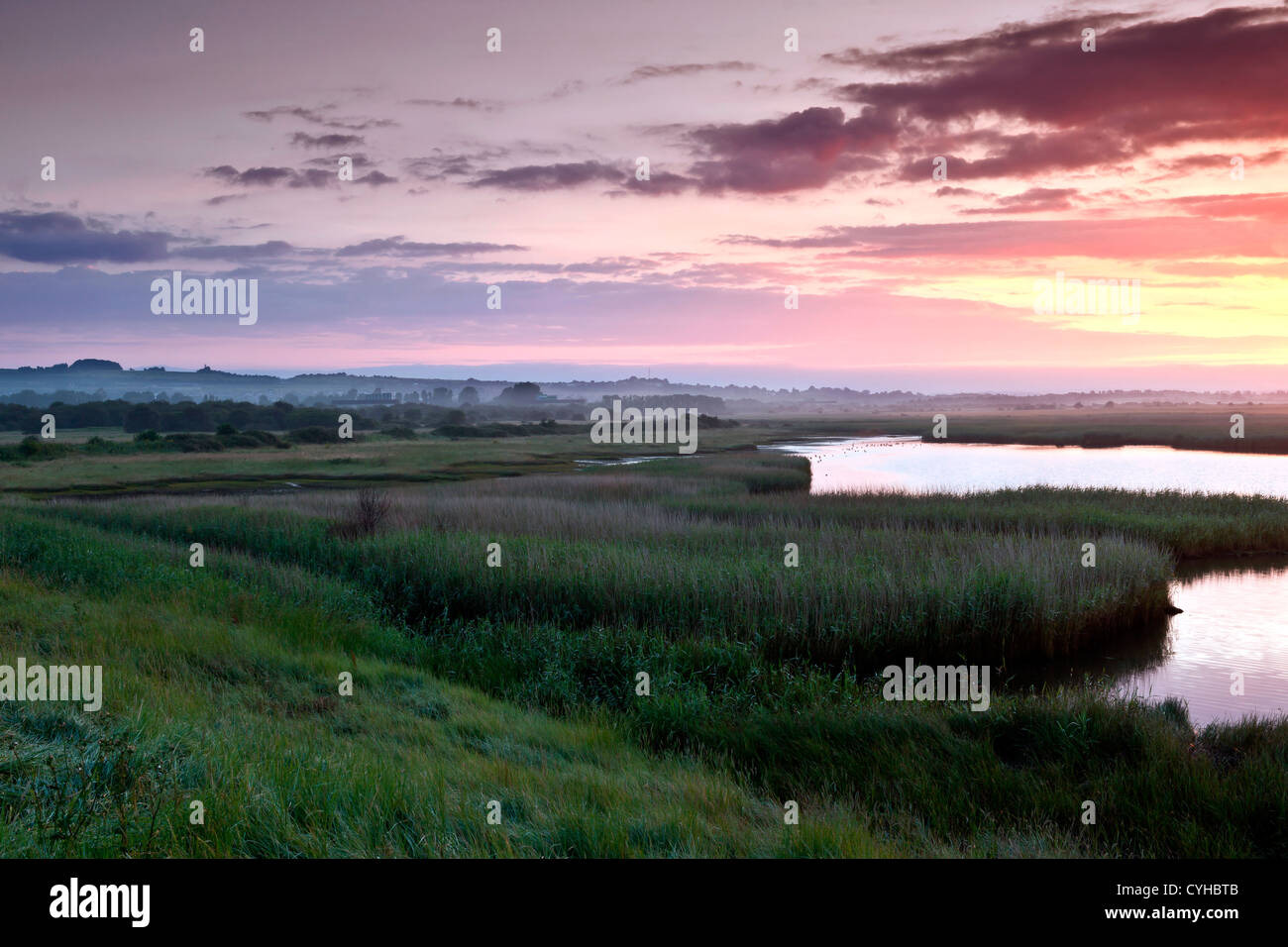 Dawn over the Reed beds at Farlington Marshes, Langstone Harbour, near Portsmouth, Hampshire Stock Photo
