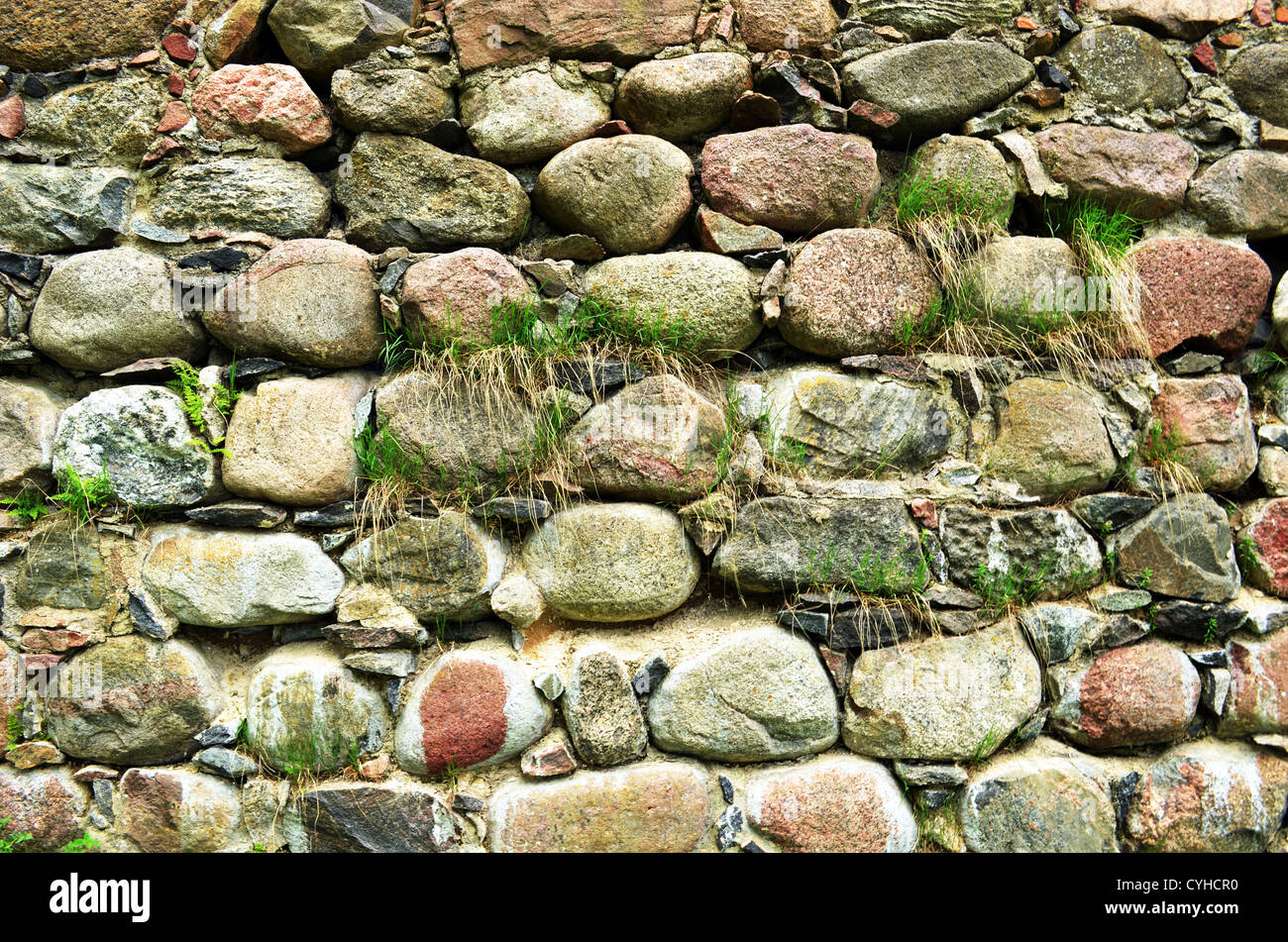 Backdrop of retro castle stone wall and grass grow Stock Photo - Alamy