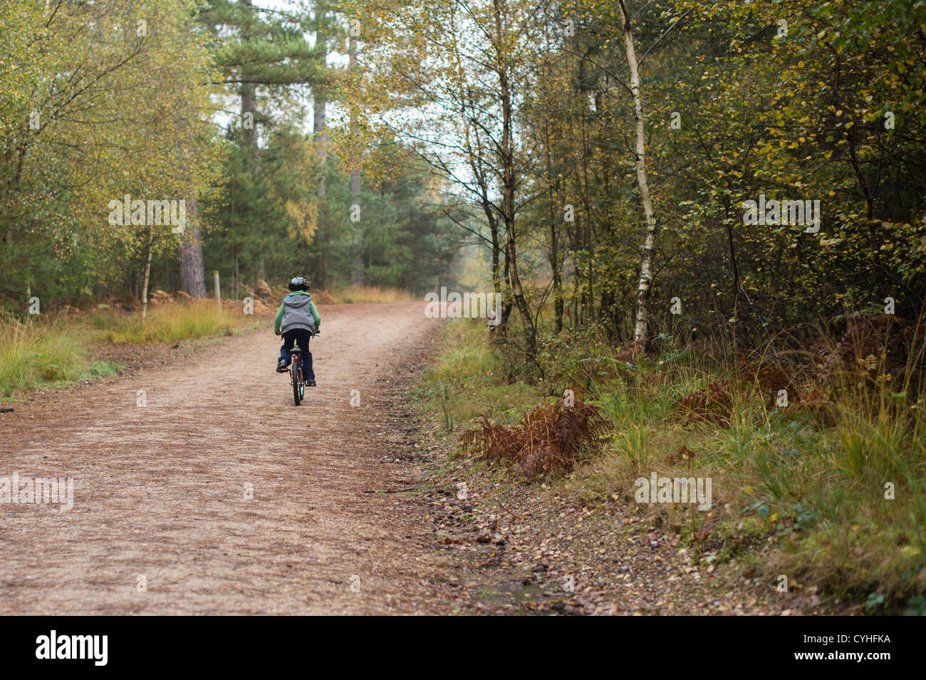moors valley mountain biking