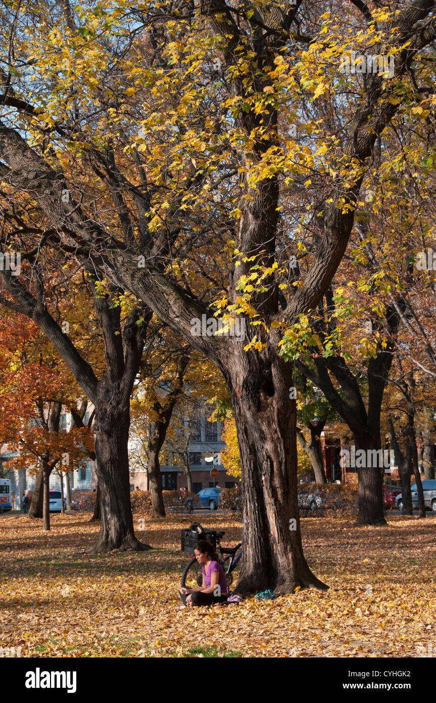Park Outremont in Outremont Montreal Canada Stock Photo