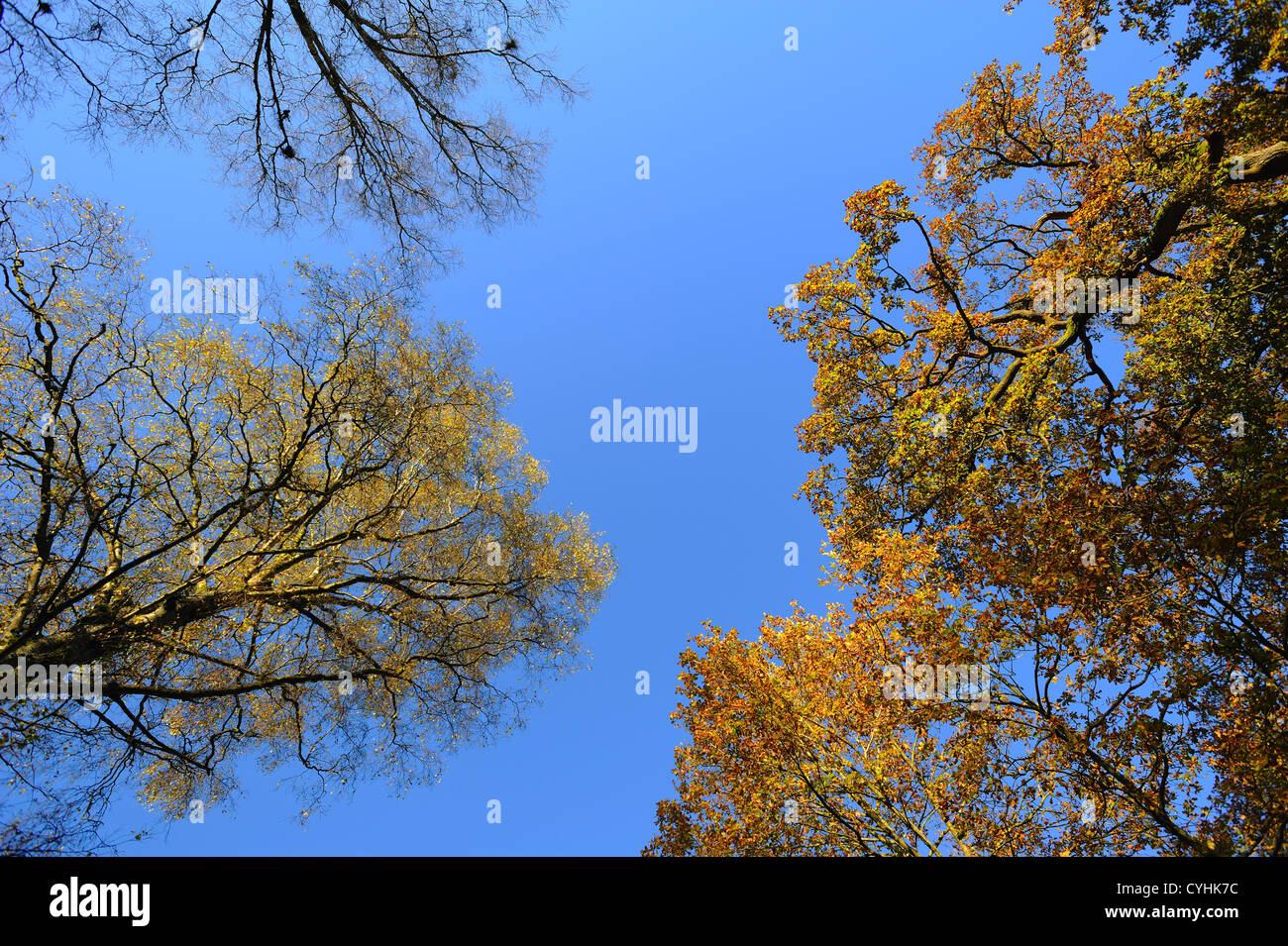 Autumn colours colors hi-res stock photography and images - Alamy