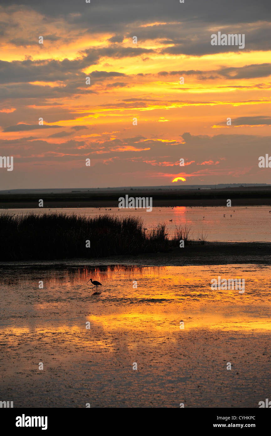Glowing Sunset Stock Photo