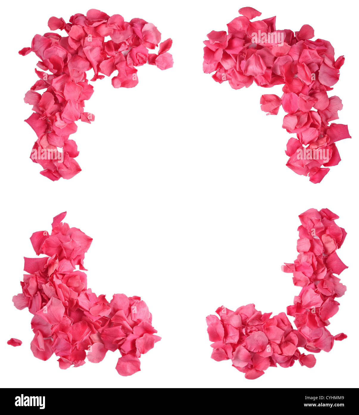 Rose Petal Frame in a white isolated background Stock Photo - Alamy